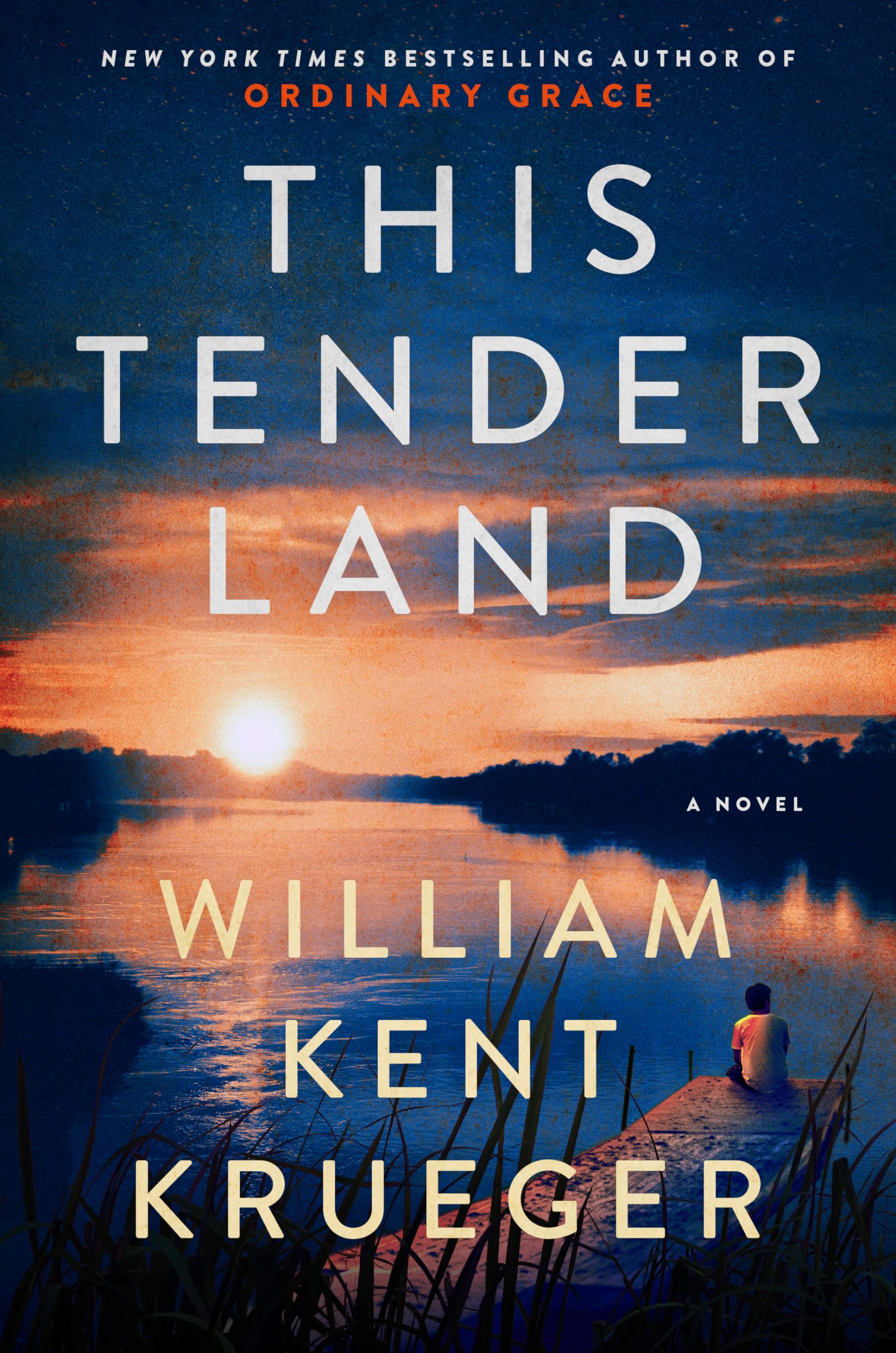 This Tender Land (Thorndike Press Large Print Basic),Used