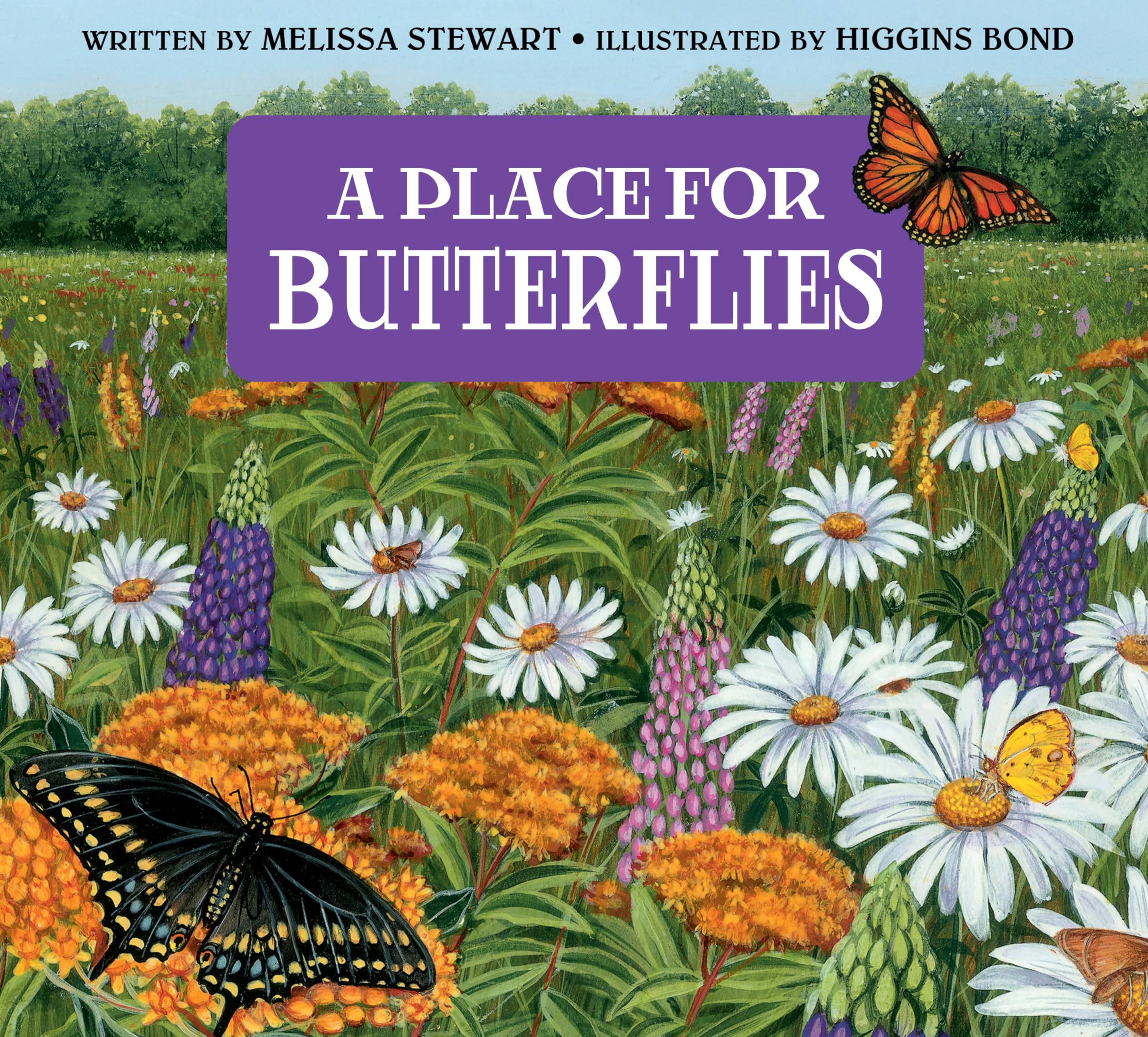 A Place for Butterflies (Third Edition),New