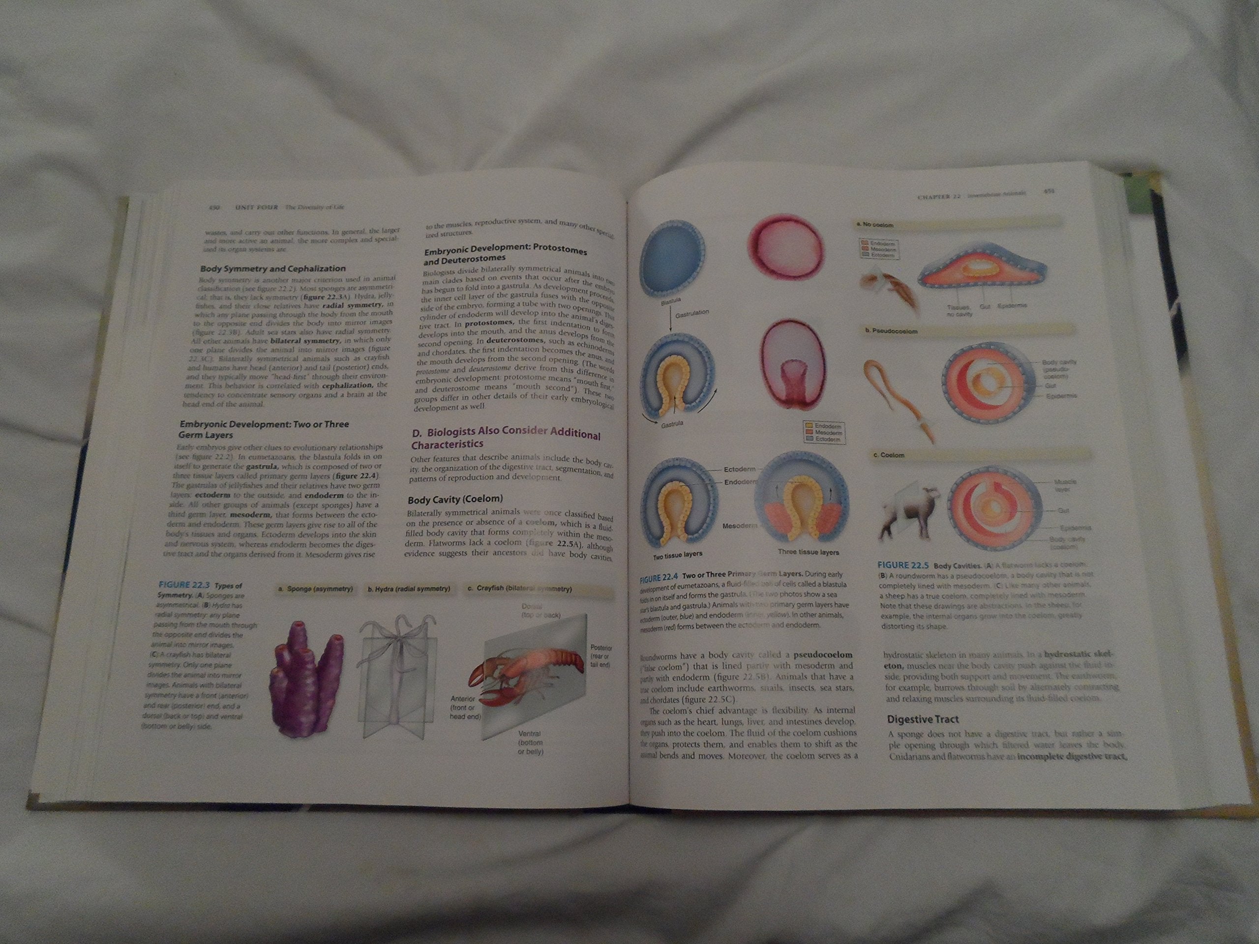 Biology: Concepts & Investigations,Used