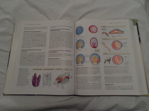 Biology: Concepts & Investigations,Used