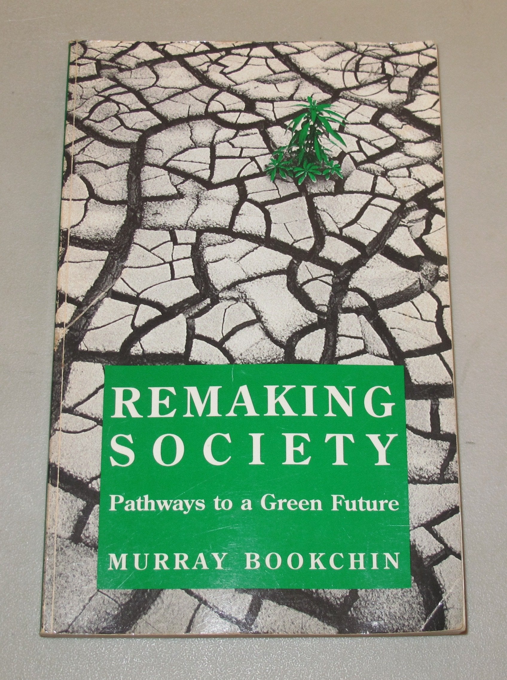 Remaking Society: Pathways to a Green Future,Used