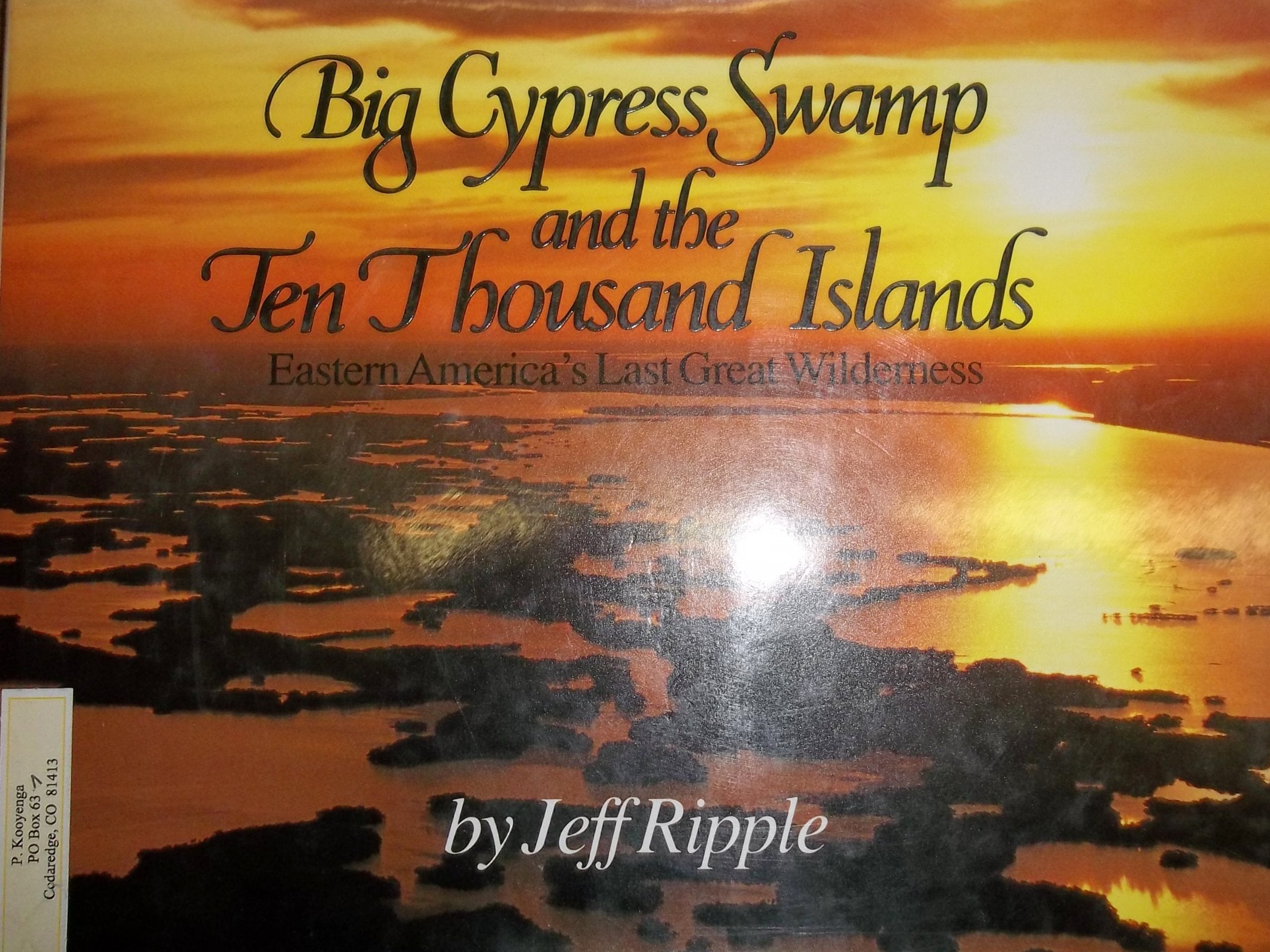 Big Cypress Swamp and the Ten Thousand Islands: Eastern America's Last Great Wilderness,Used