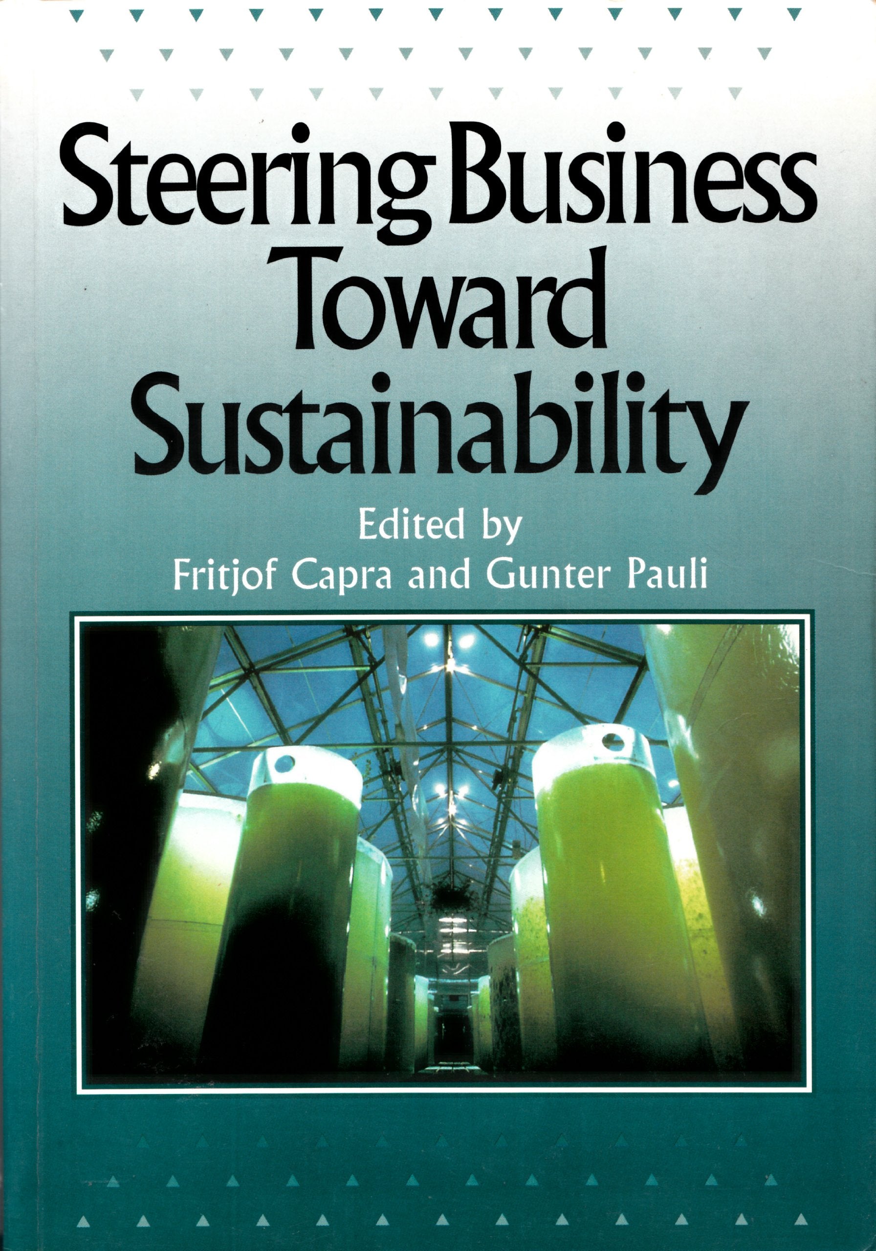 Steering Business Towards Sustainability,Used