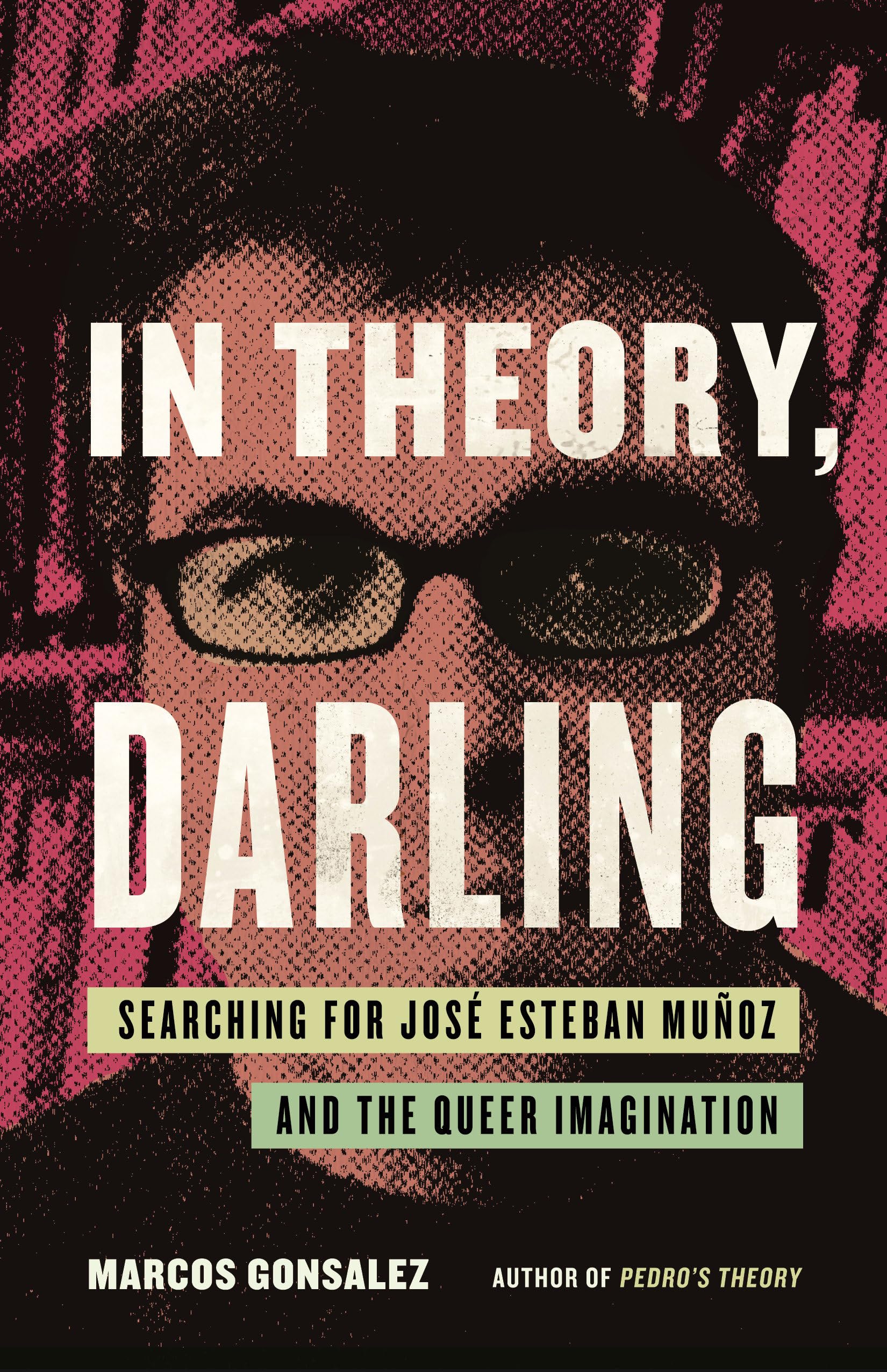 In Theory, Darling: Searching For Jos Esteban Muoz And The Queer Imagination