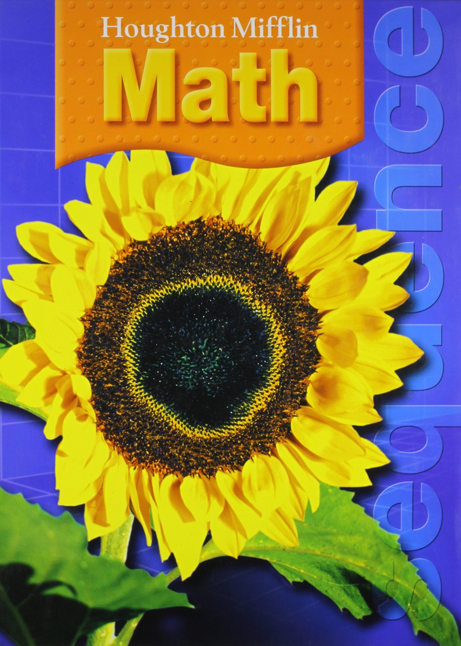 Houghton Mifflin Math, Level 5 Student Textbook,New
