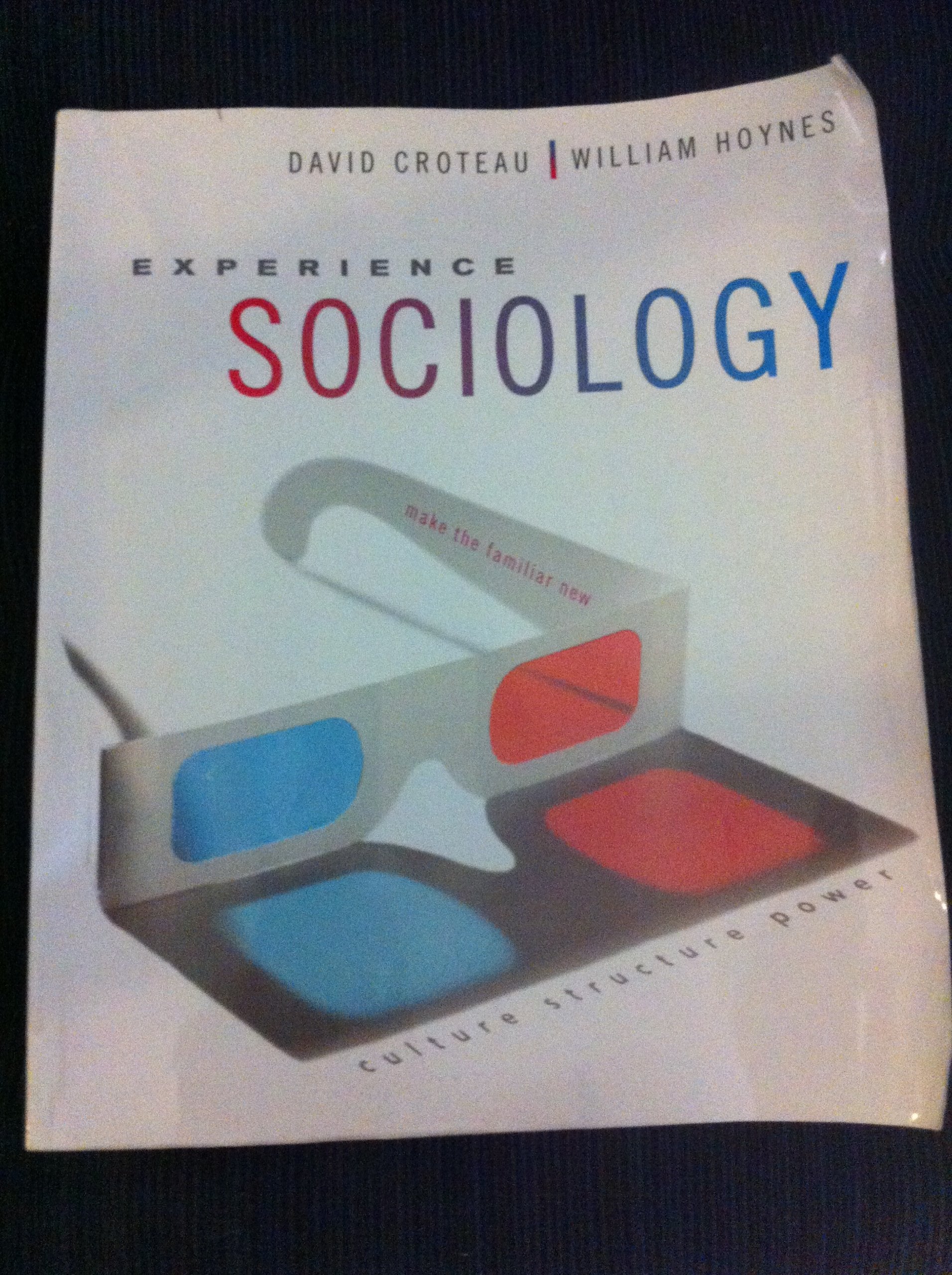 Experience Sociology,Used