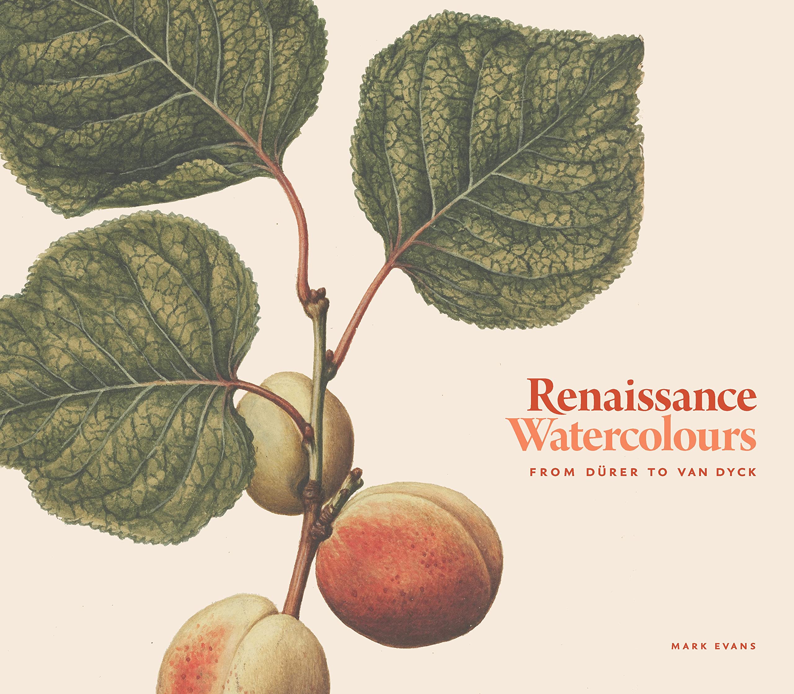 Renaissance Watercolours: From Drer To Van Dyck