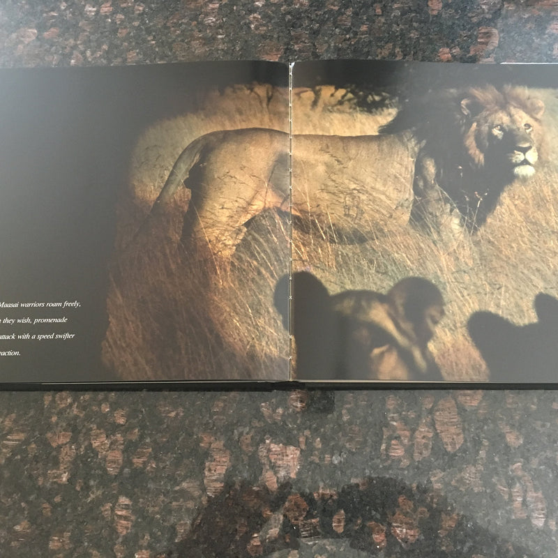 A Tent With a View: An Intimate African Experience,New