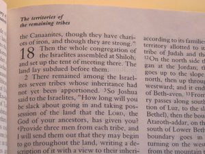 The New Oxford Annotated Bible, New Revised Standard Version,Used