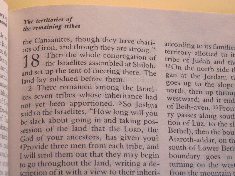 The New Oxford Annotated Bible, New Revised Standard Version,Used