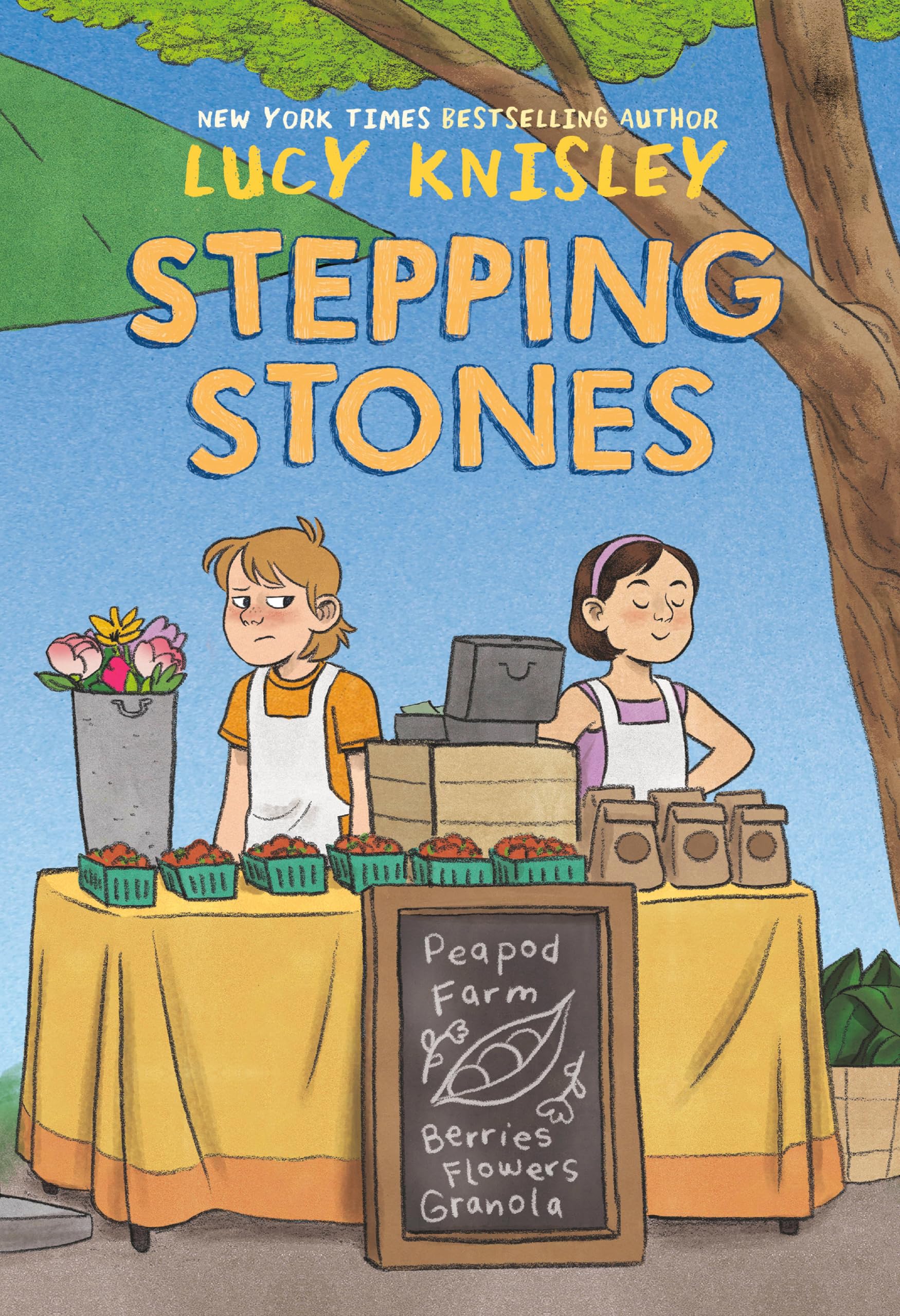 Stepping Stones: (A Graphic Novel) (Peapod Farm),Used