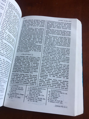 The Book Of Mormon: Another Testament Of Jesus Christ,Used