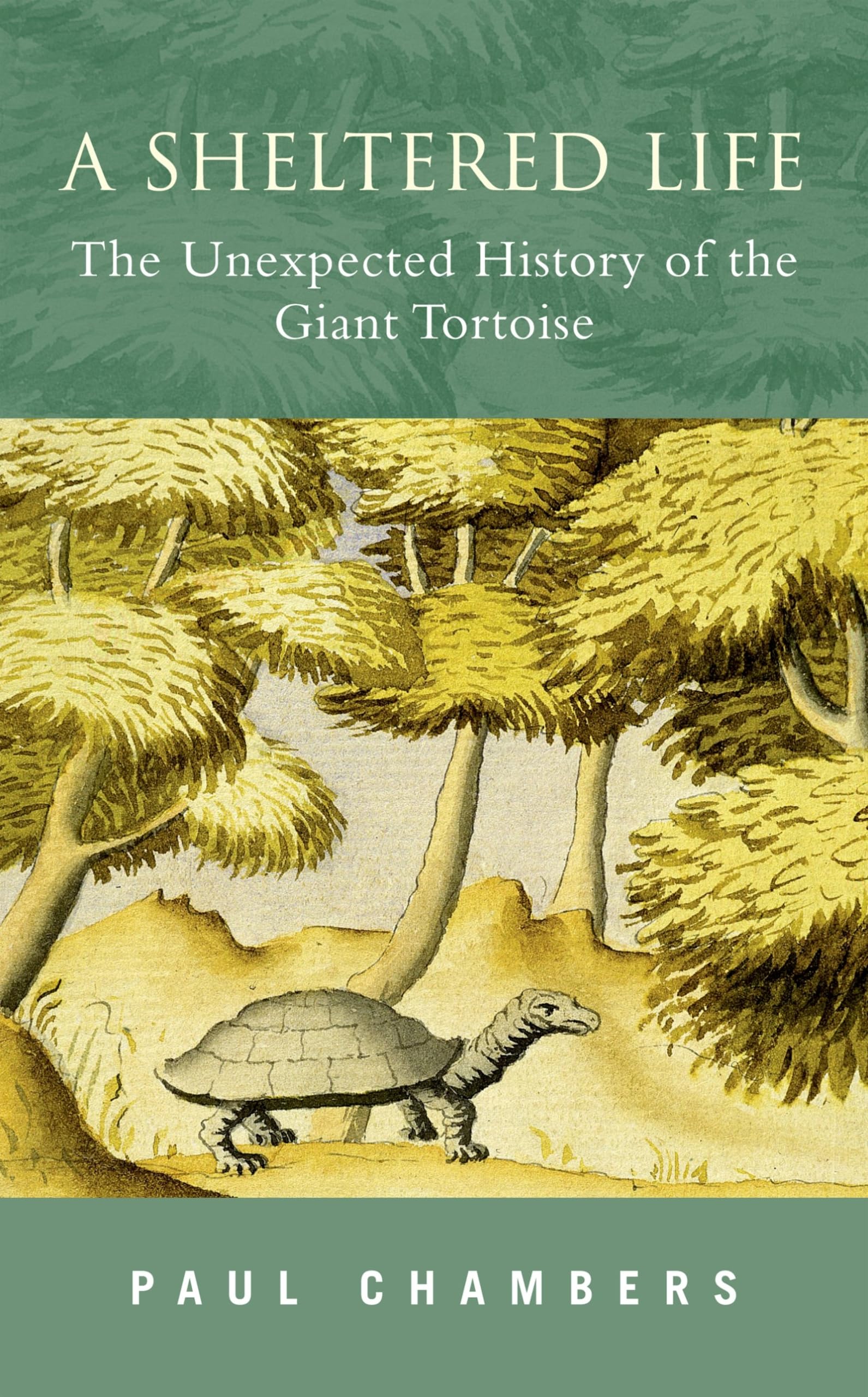 A Sheltered Life: The Unexpected History Of The Giant Tortoise-used