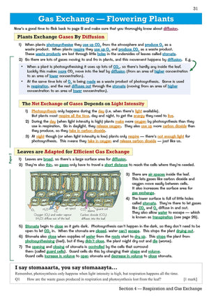 Revision Guide With Online Edition,Used