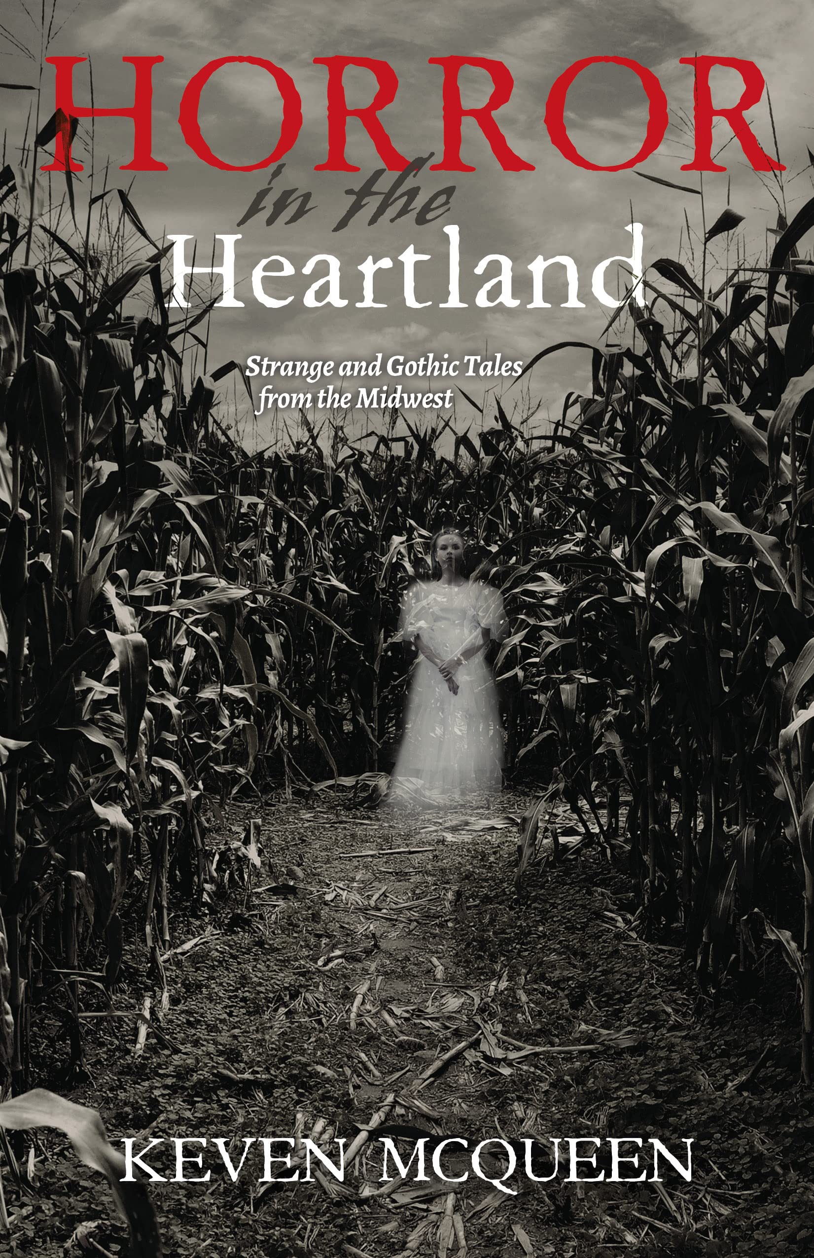 Horror in the Heartland: Strange and Gothic Tales from the Midwest,Used