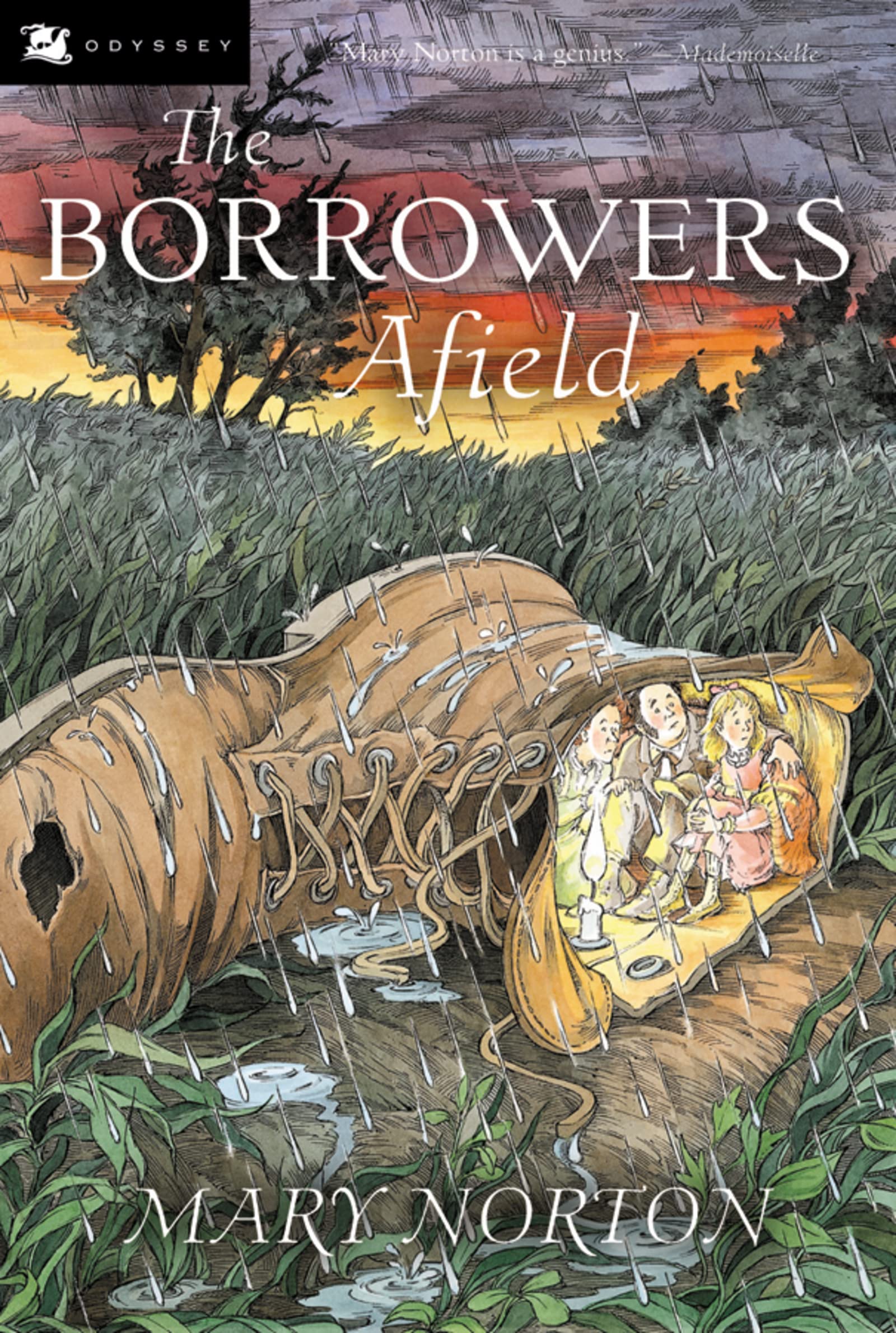 The Borrowers Afield (Borrowers, 2),Used