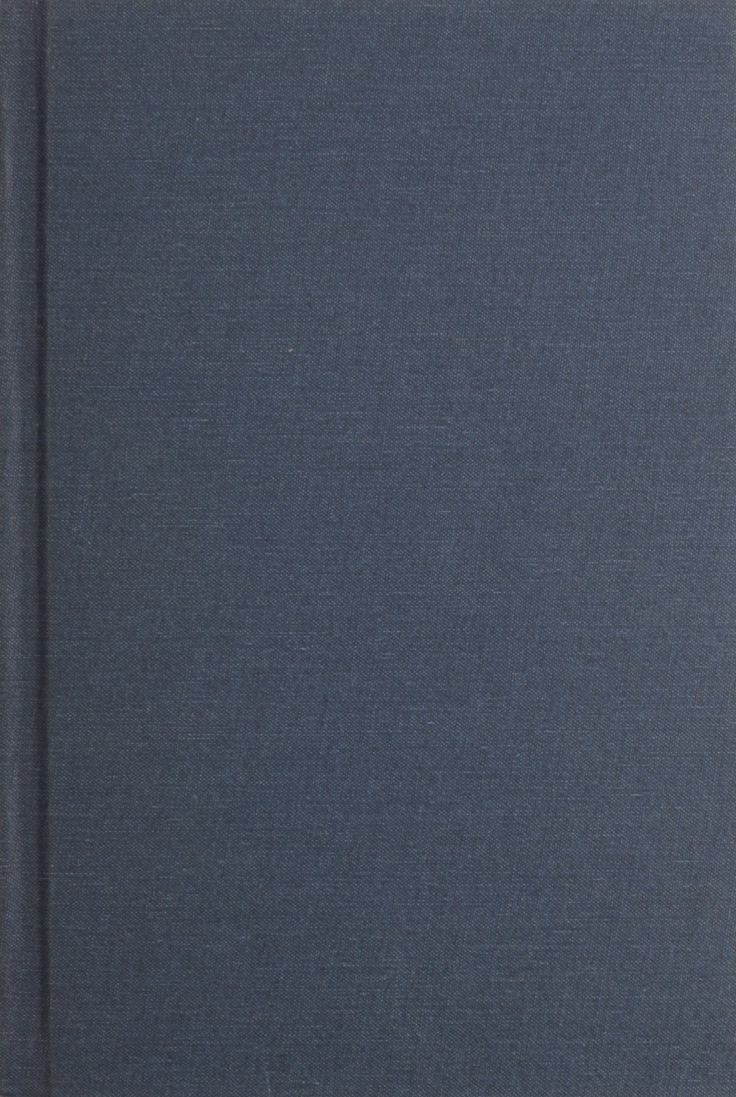Child Abuse Trauma: Theory And Treatment Of The Lasting Effects (Interpersonal Violence: The Practice Series)