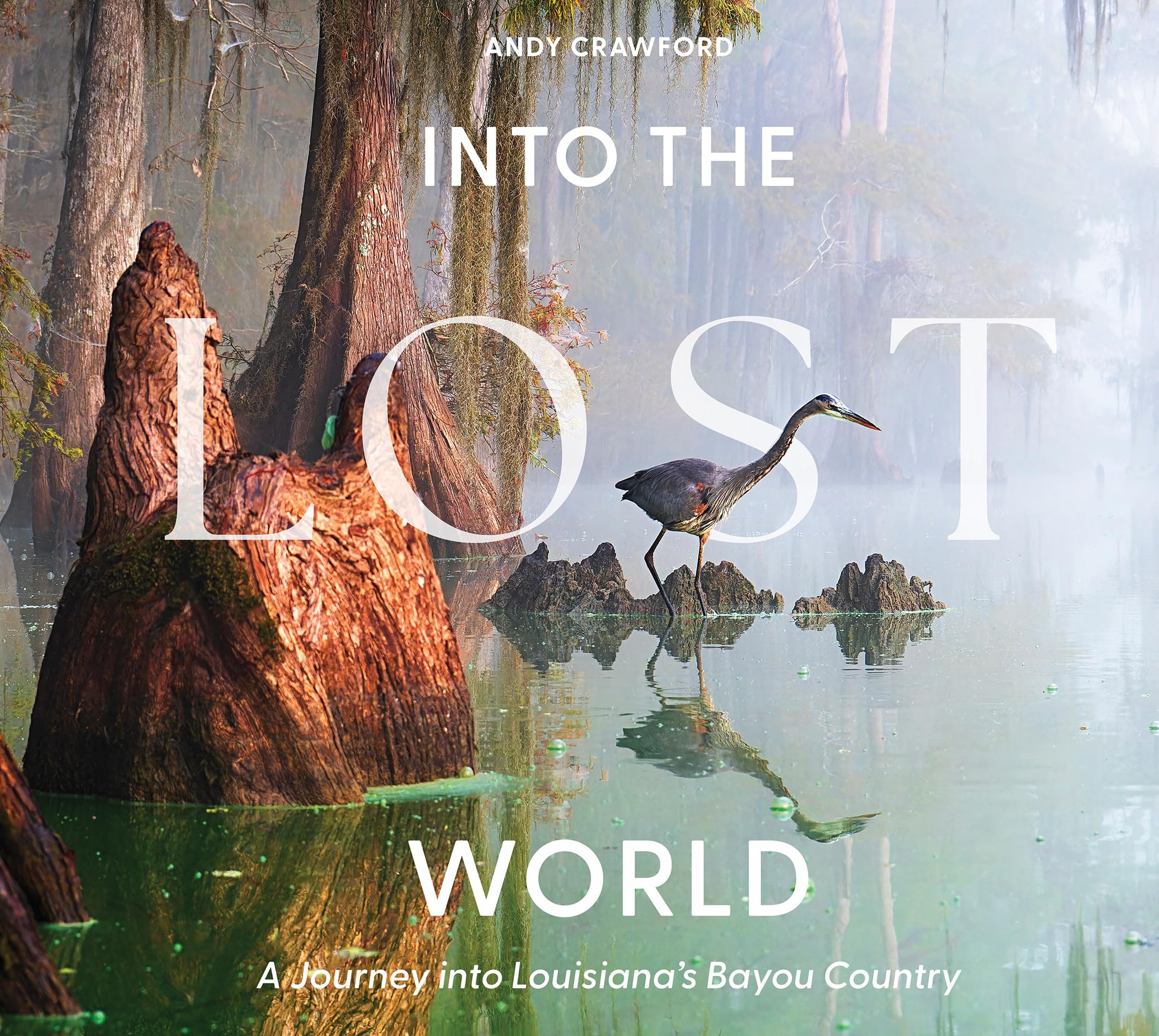 Into The Lost World: A Journey Into LouisianaS Bayou Country