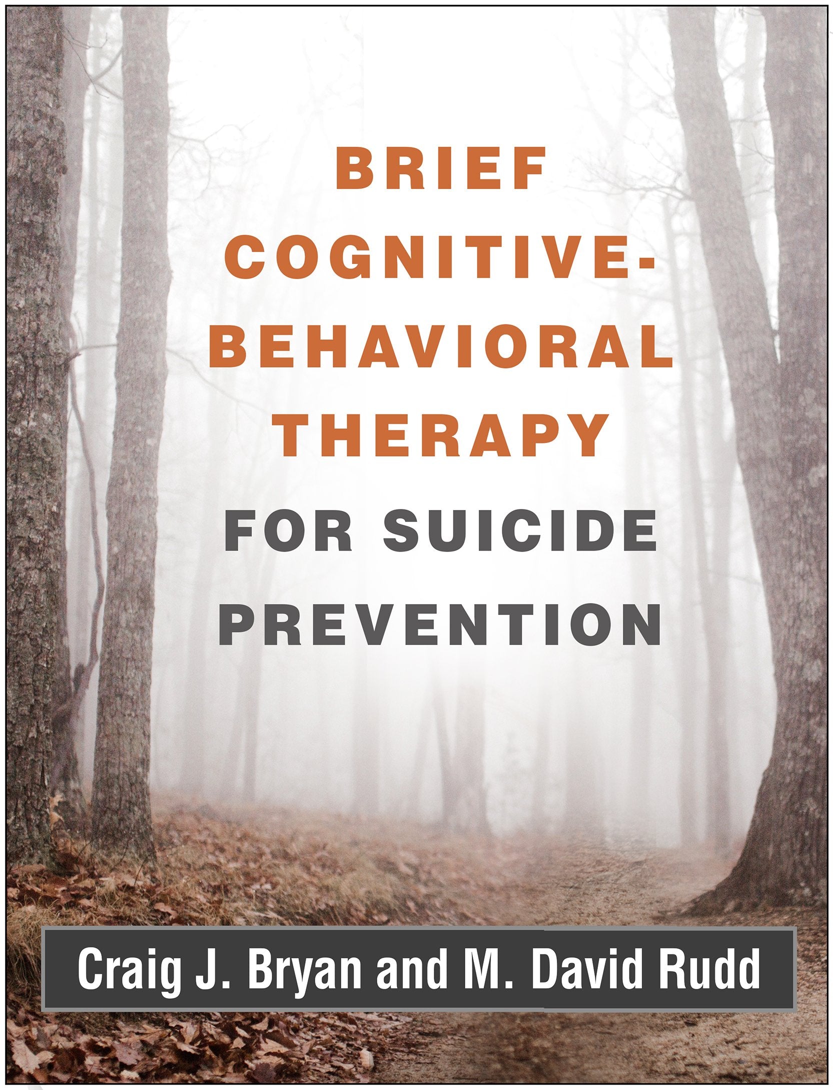 Brief CognitiveBehavioral Therapy for Suicide Prevention,Used