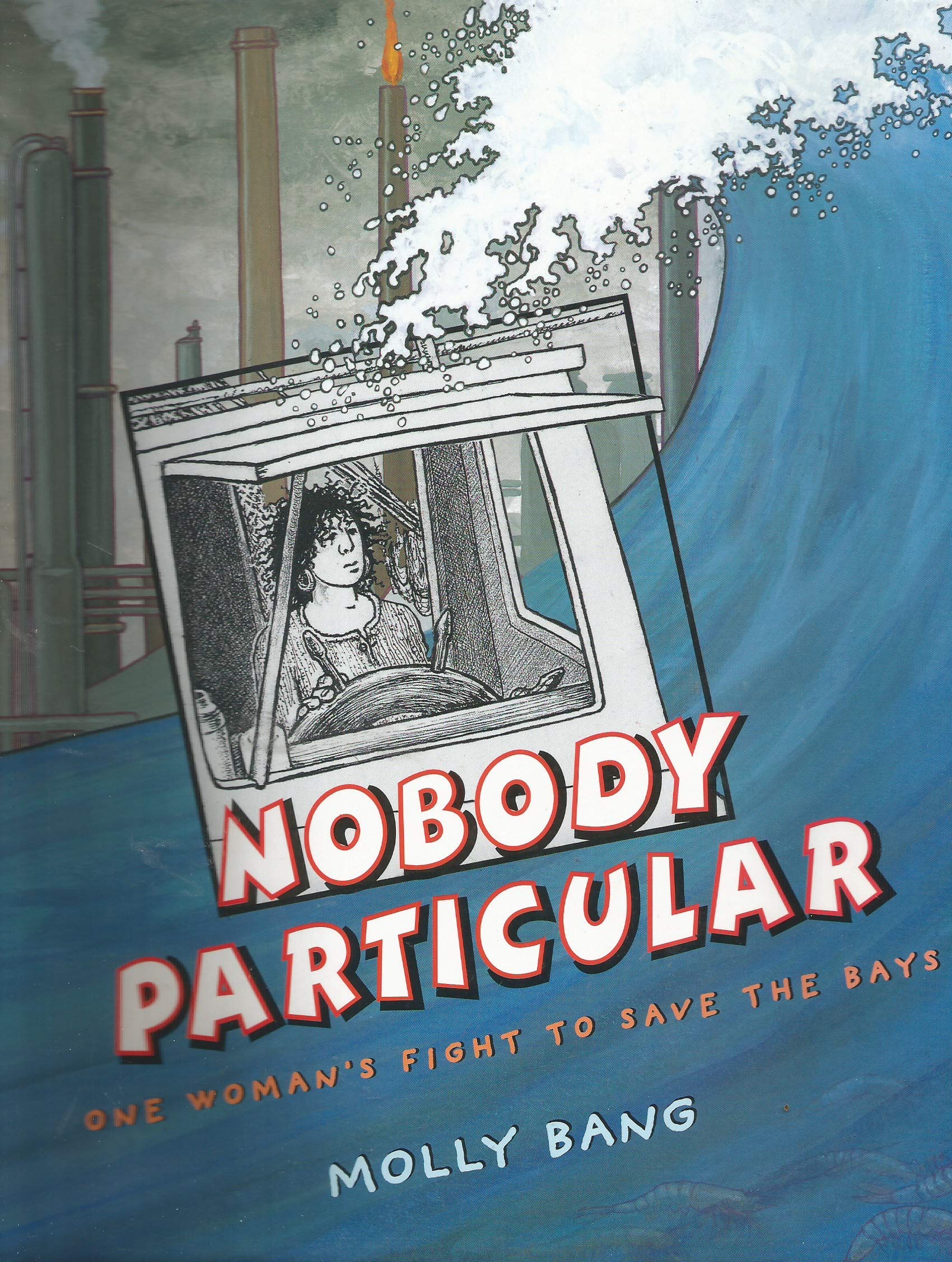 Nobody Particular: One Woman's Fight to Save the Bays,Used