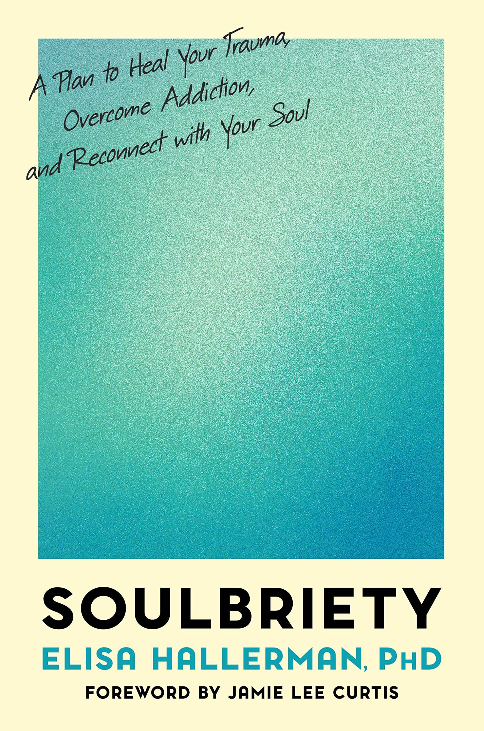 Soulbriety: A Plan To Heal Your Trauma, Overcome Addiction, And Reconnect With Your Soul,Used