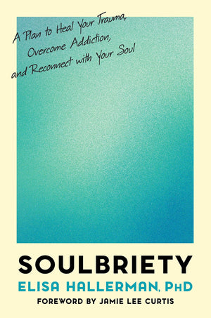 Soulbriety: A Plan To Heal Your Trauma, Overcome Addiction, And Reconnect With Your Soul,Used