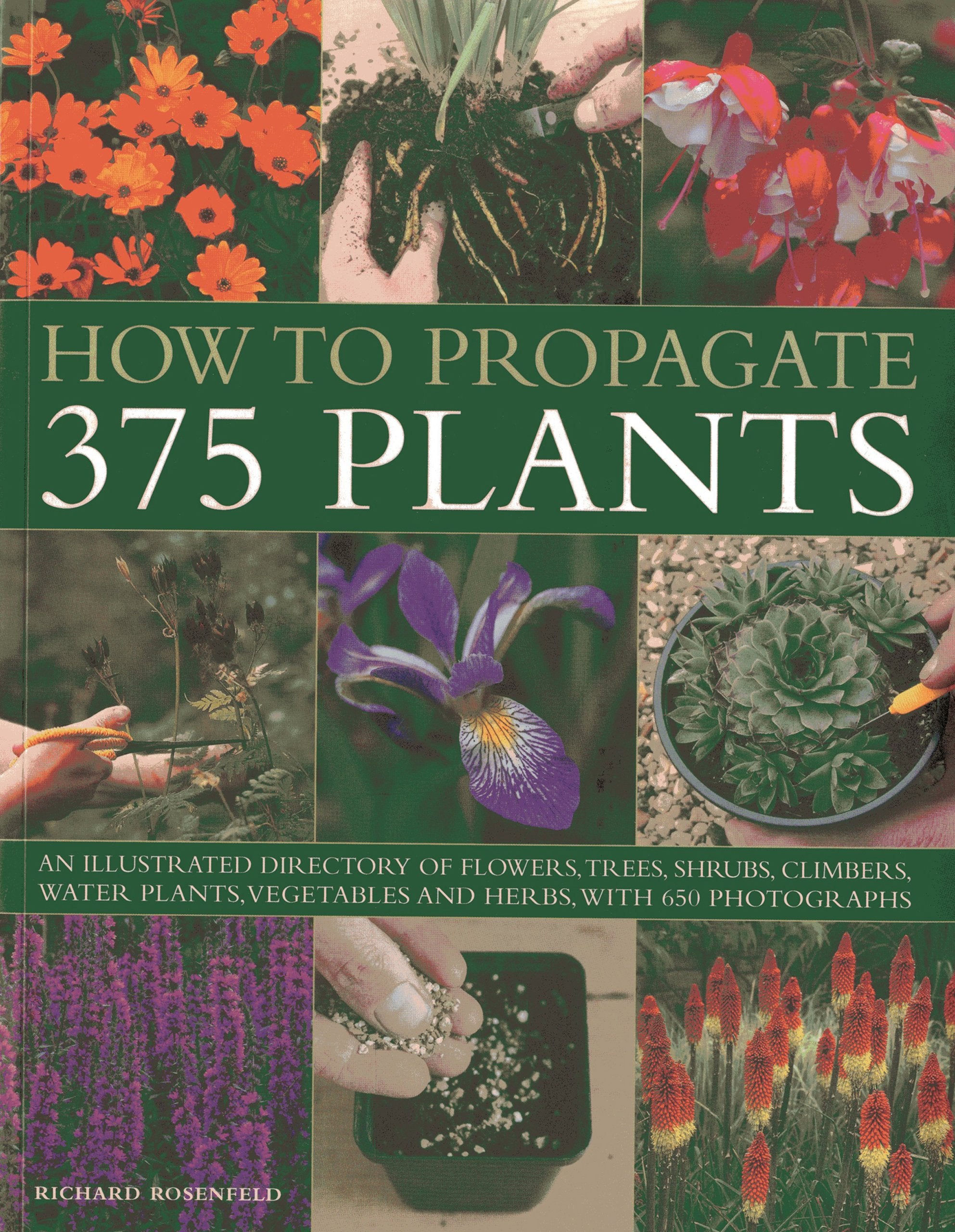 How to Propagate 375 Plants: An illustrated directory of flowers, trees, shrubs, climbers, water plants, vegetables and herbs, w,Used