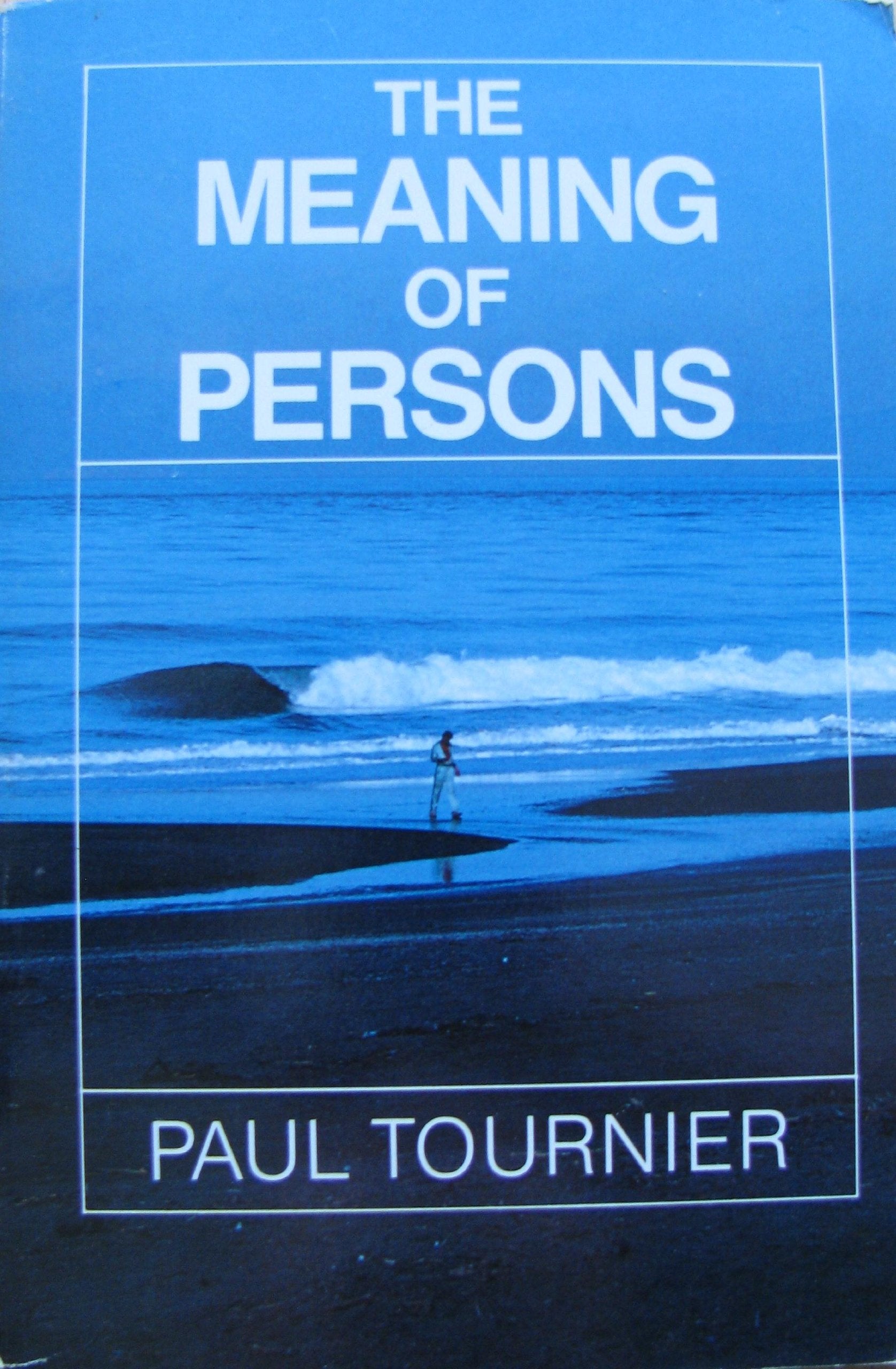 Meaning Of Persons (English And French Edition),Used