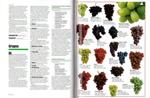 Fresh Produce/A to Z: How to Select, Store and Prepare, over 250 Recipes,Used