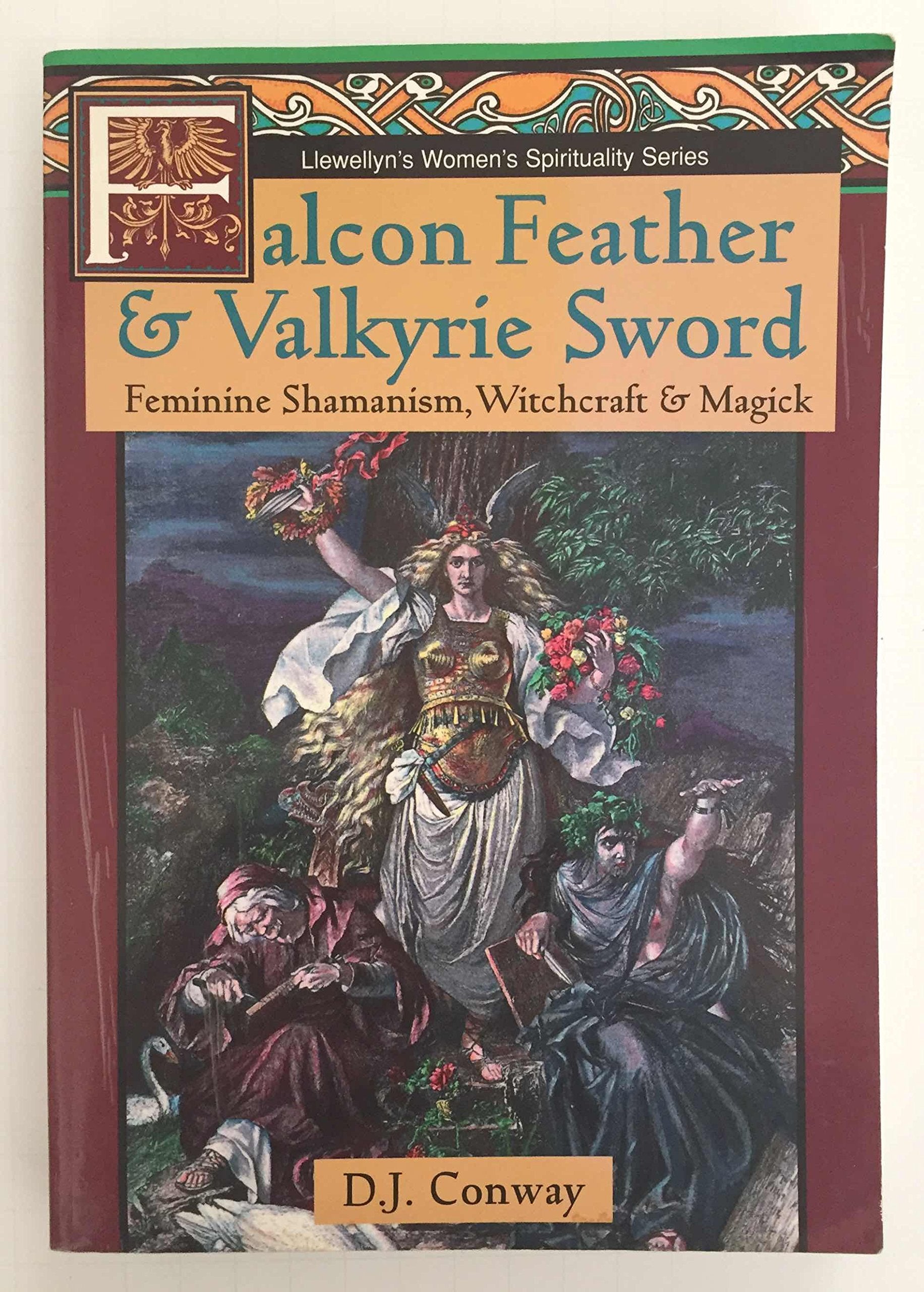 Falcon Feather & Valkyrie Sword: Feminine Shamanism, Witchcraft & Magick (Llewellyn's Women's Spirituality Series),Used