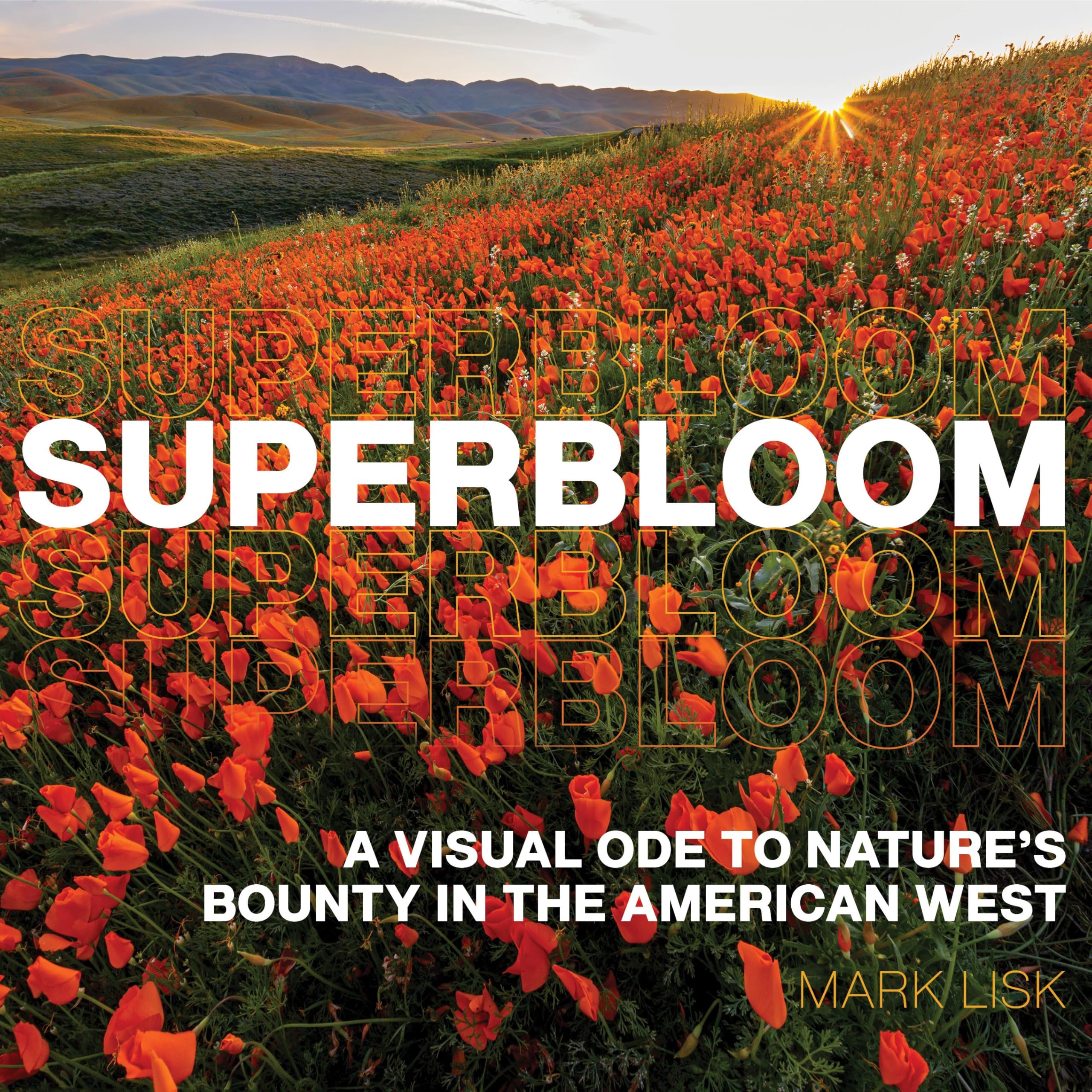 SUPERBLOOM