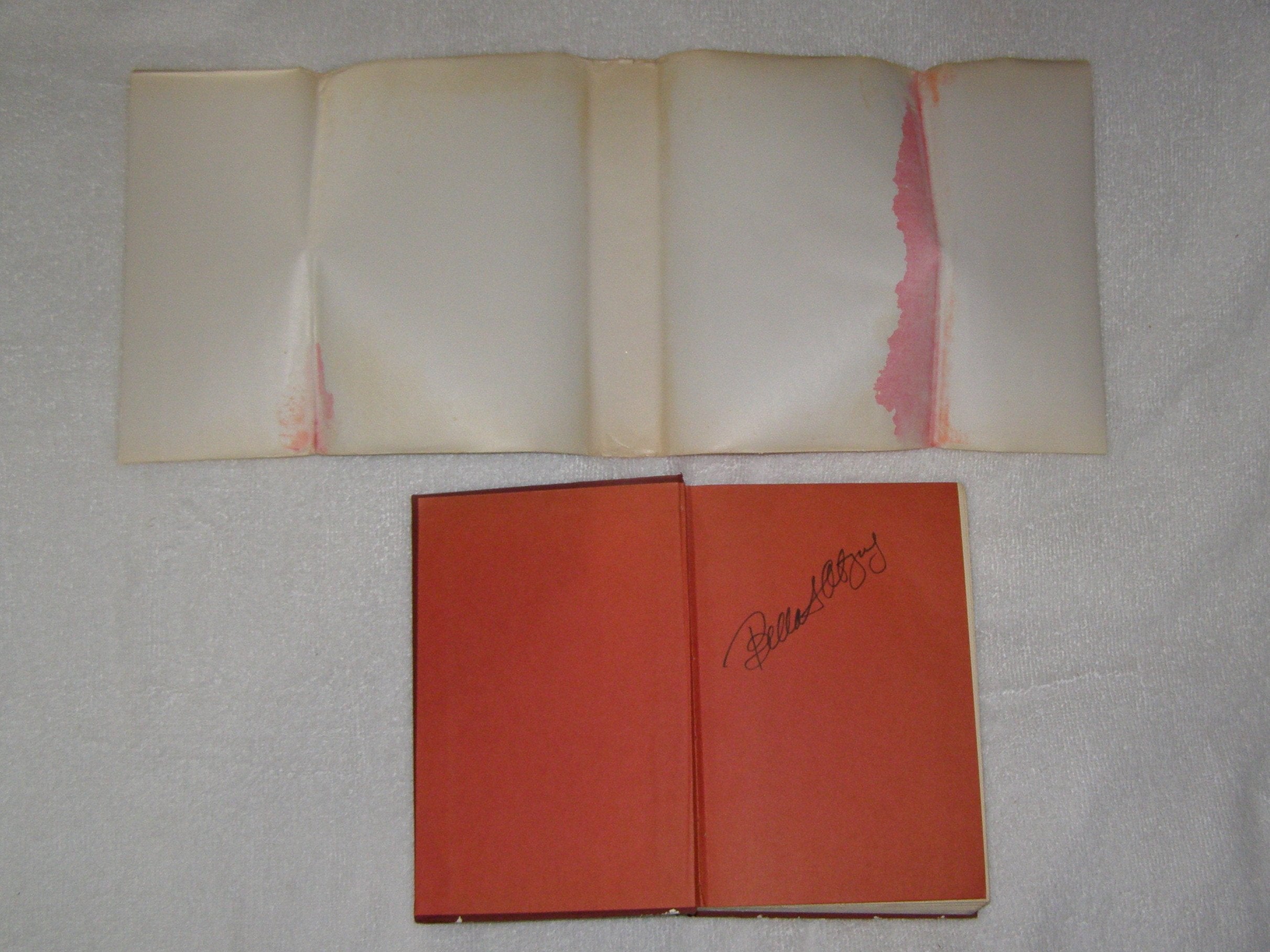 Bella!: Ms. Abzug goes to Washington