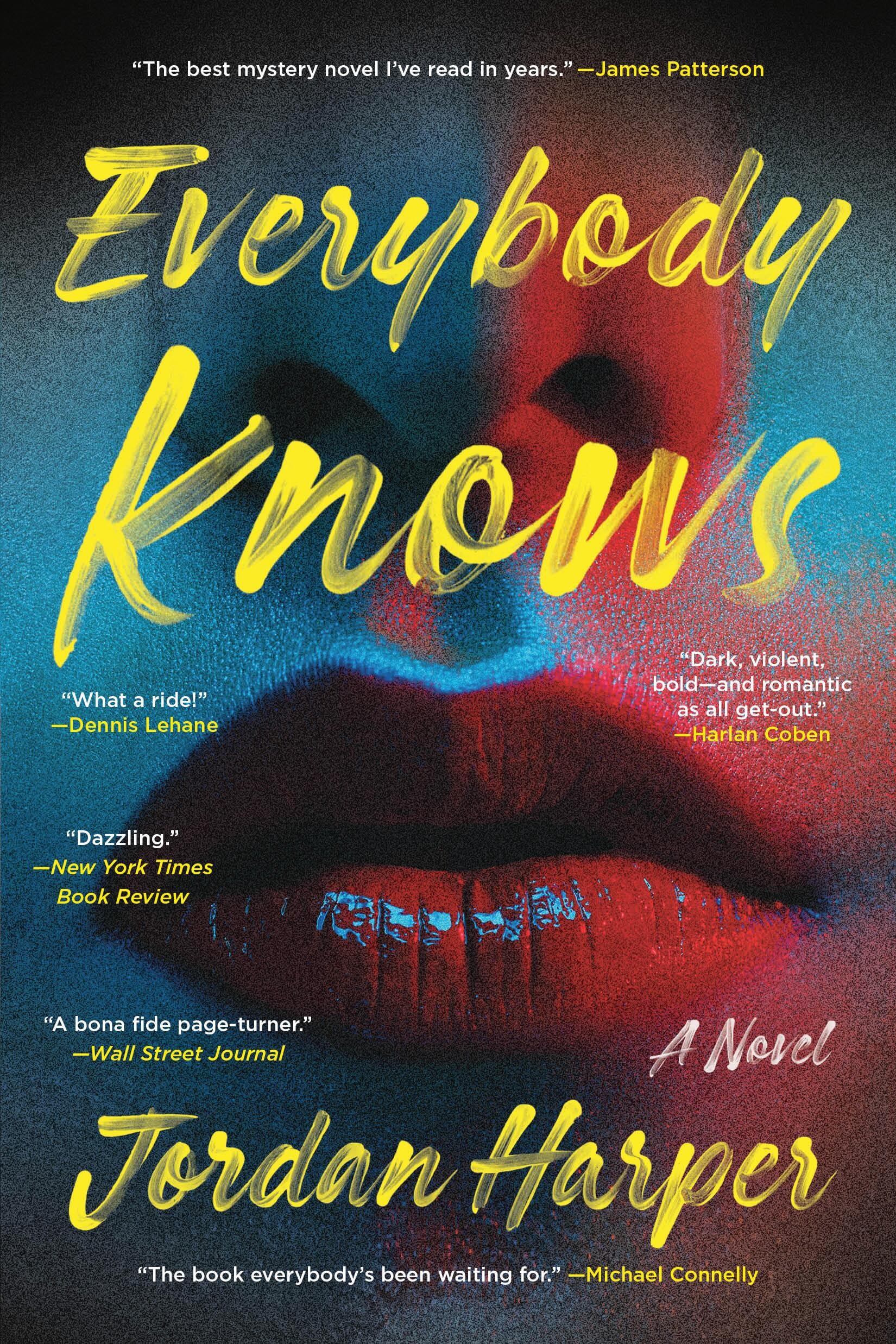 Everybody Knows: A Novel,Used
