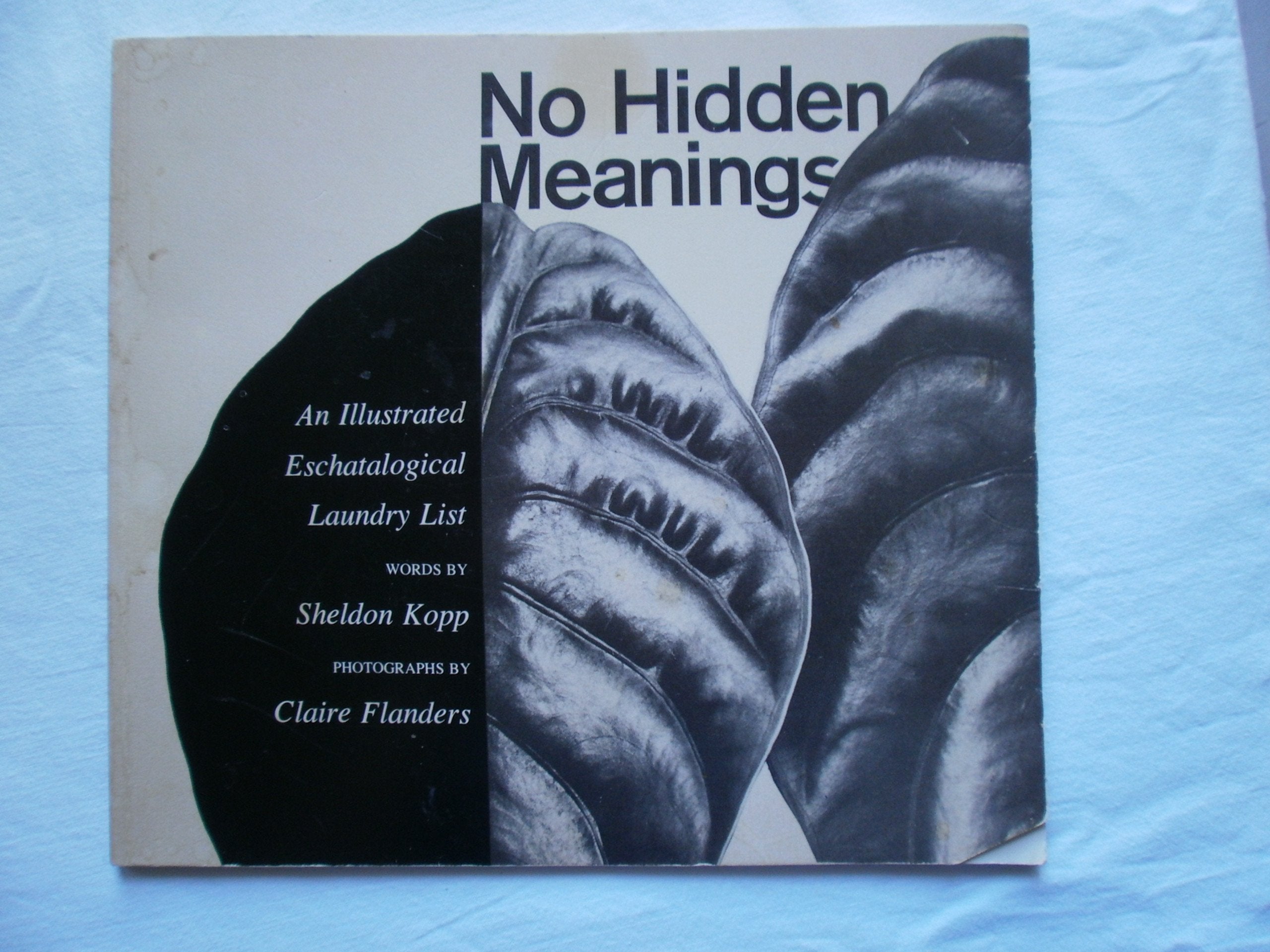 No Hidden Meanings: An Illustrated Eschatological Laundry List,Used
