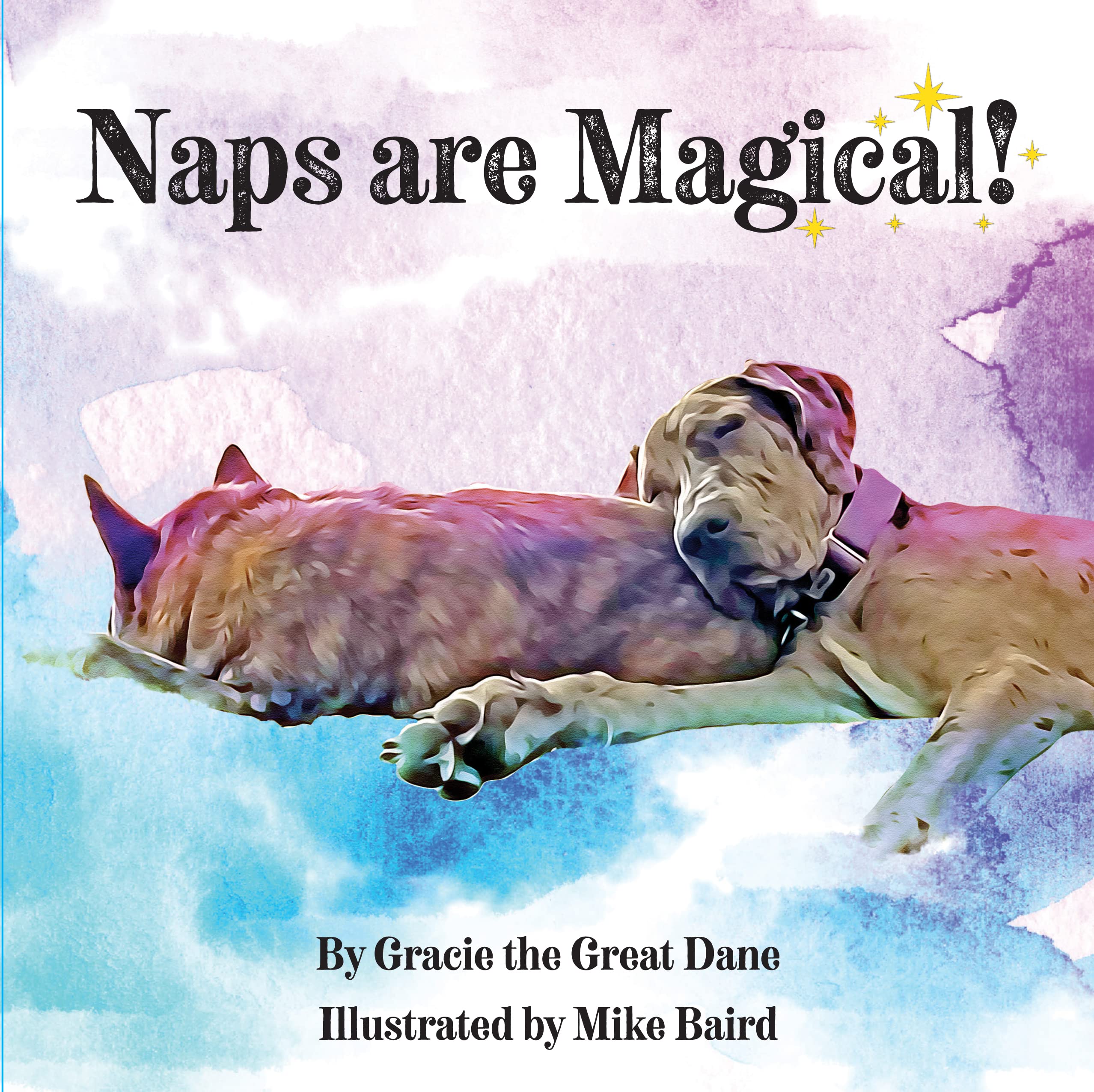 Naps Are Magical,Used