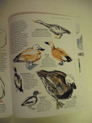 An Introduction to Pastels (The Dk Art School),Used