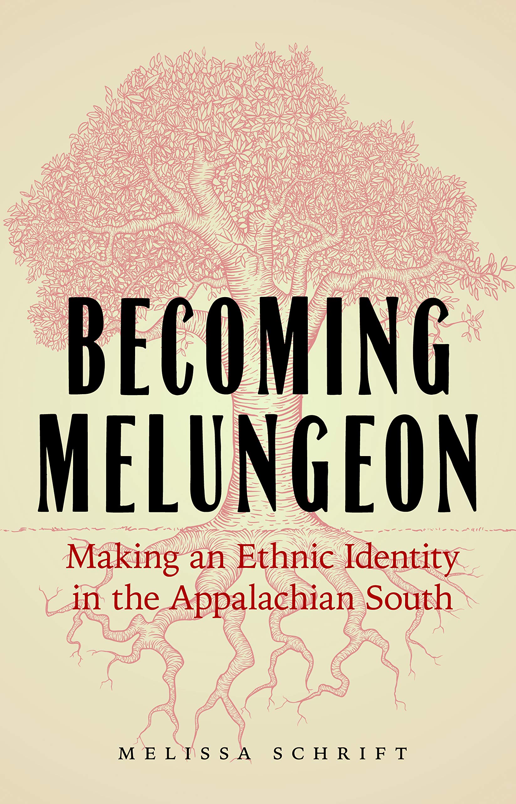 Becoming Melungeon: Making an Ethnic Identity in the Appalachian South,Used