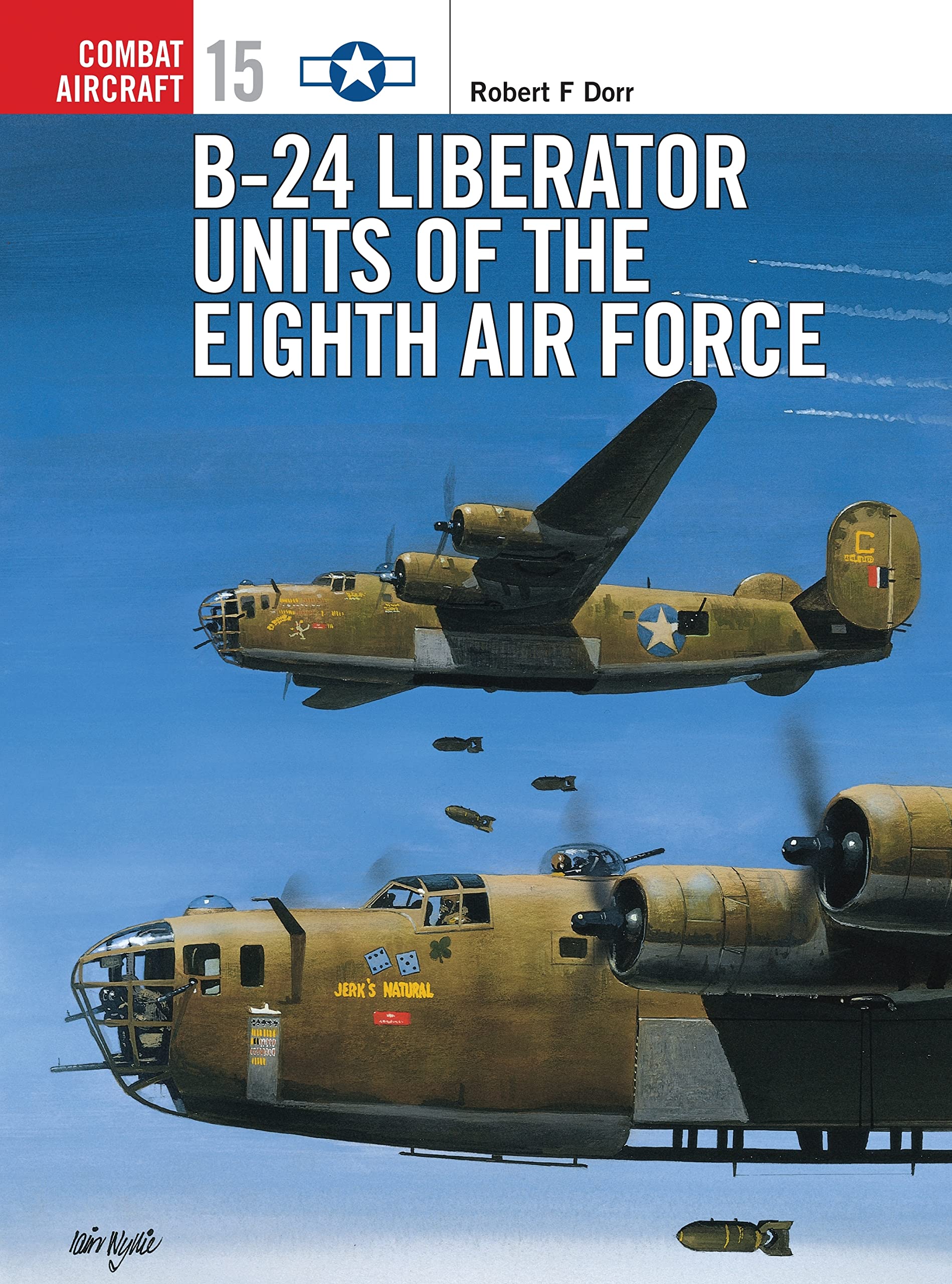 B24 Liberator Units of the Eighth Air Force (Osprey Combat Aircraft 15),Used