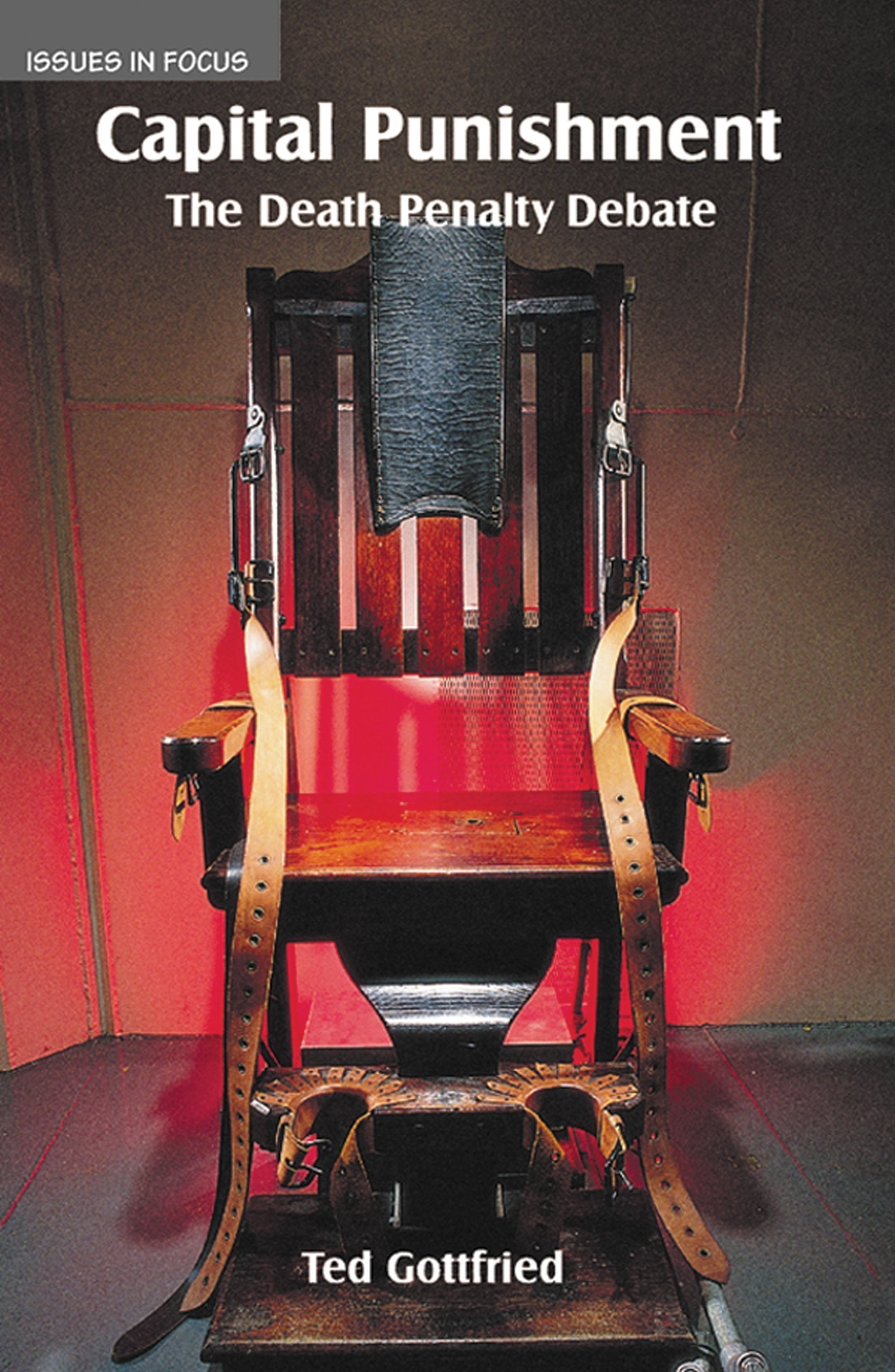 Capital Punishment: The Death Penalty Debate (Issues in Focus),Used
