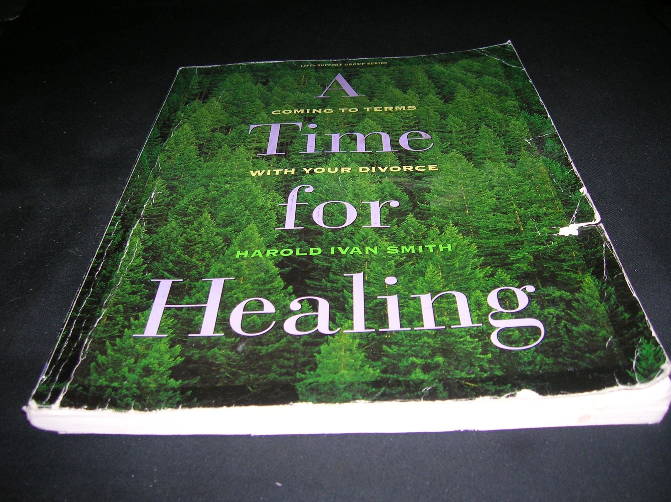 A time for healing: Coming to terms with your divorce (Life support group series),Used