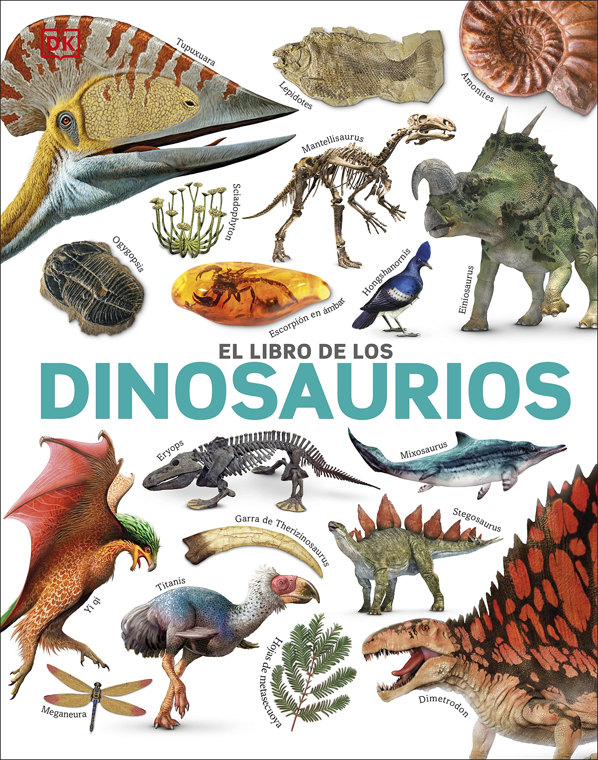 El libro de los dinosaurios (The Dinosaur Book) (DK Our World in Pictures) (Spanish Edition),Used