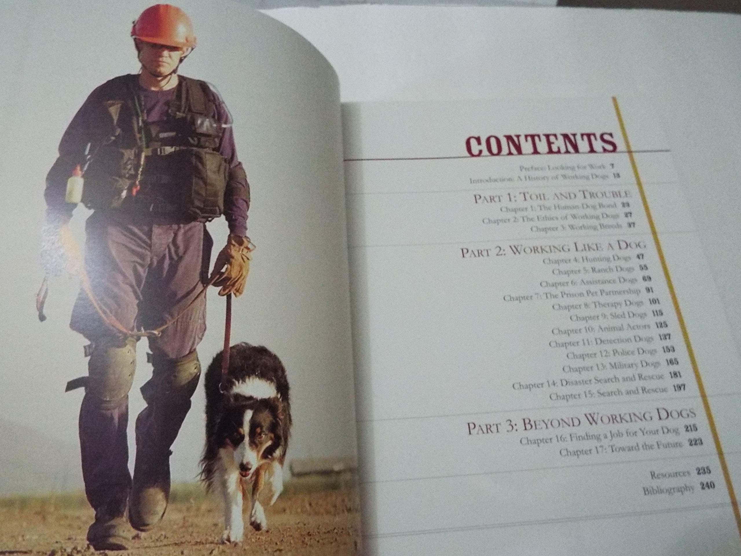 Working Dogs: True Stories of Dogs and Their Handlers,Used