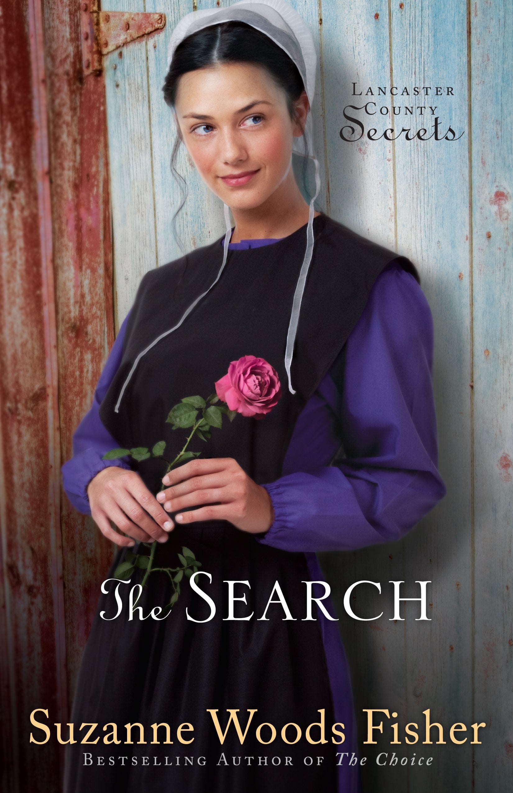 The Search (Thorndike Press Large Print Christian),Used