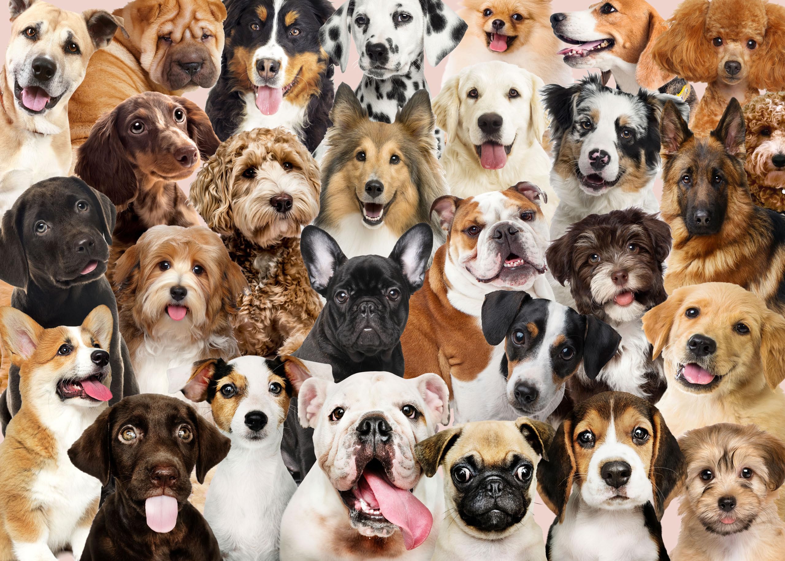 PETER PAUPER PRESS All The Dogs 1000 Piece Jigsaw Puzzle,Used