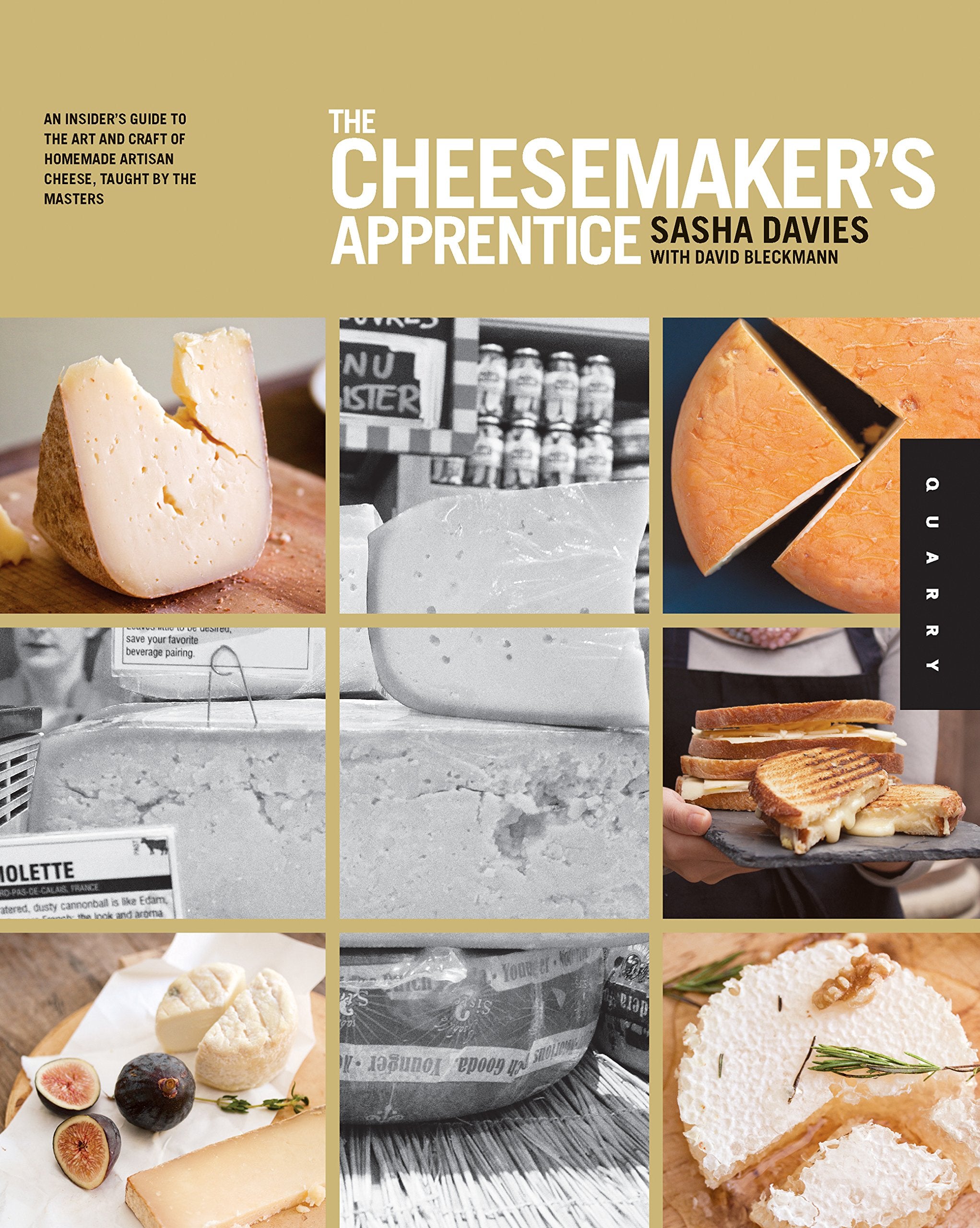 The Cheesemaker's Apprentice: An Insider's Guide to the Art and Craft of Homemade Artisan Cheese, Taught by the Masters,New