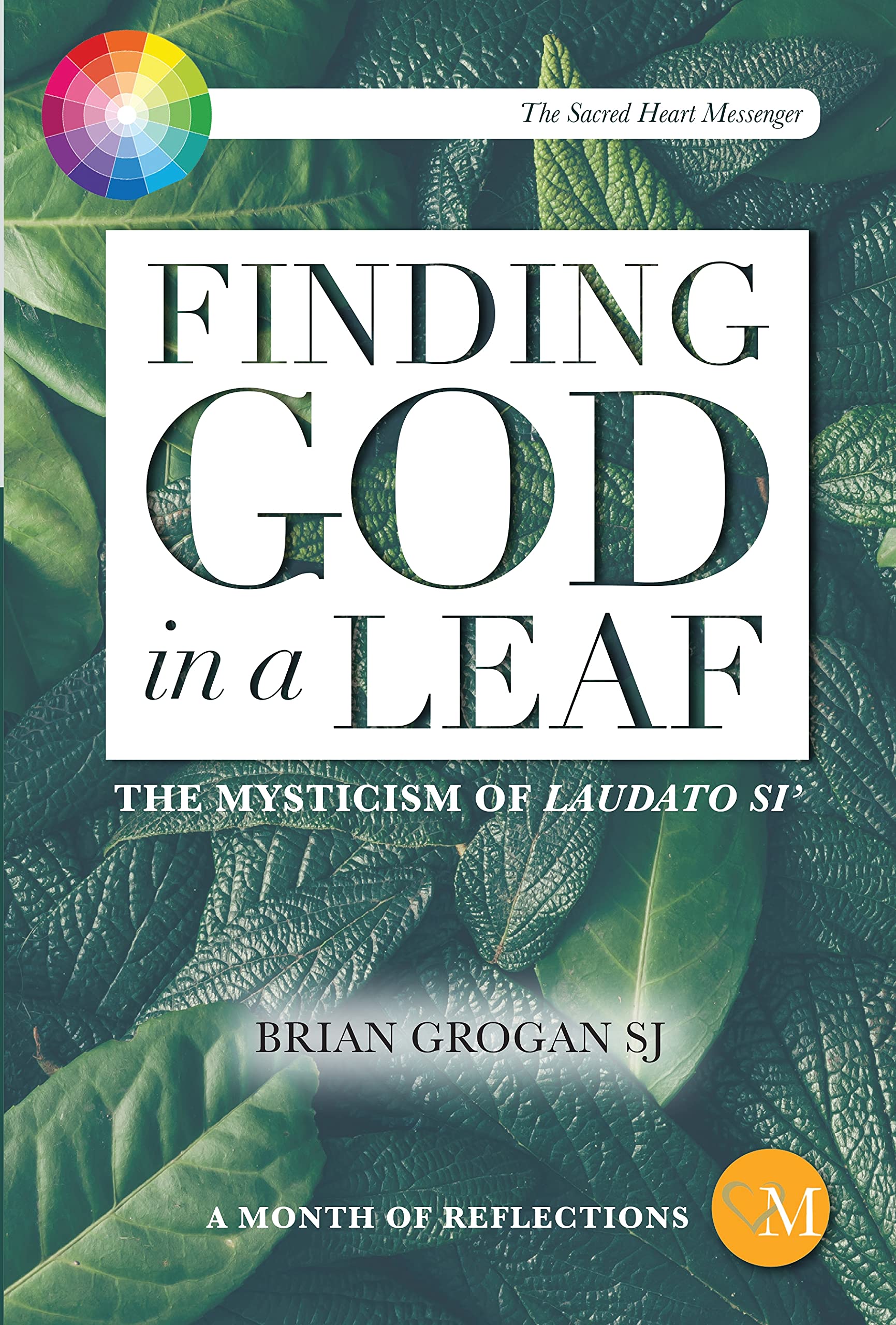 Finding God in a Leaf: The Mysticism of Laudato Si',Used