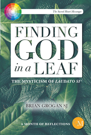 Finding God in a Leaf: The Mysticism of Laudato Si',Used