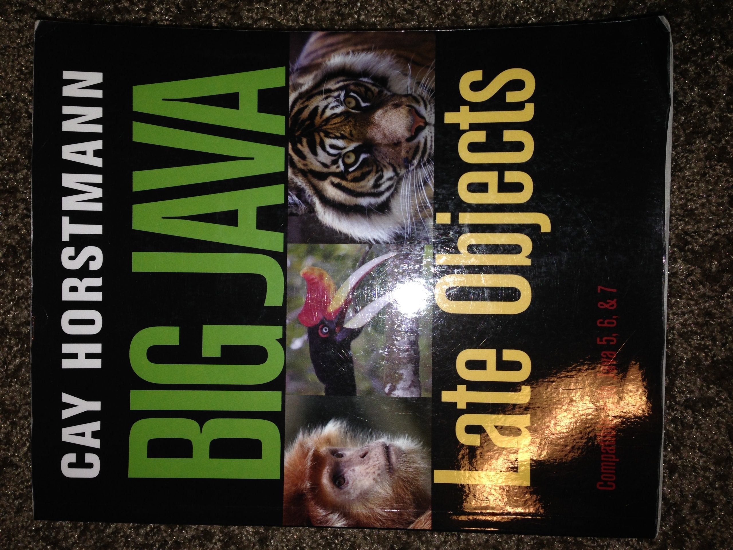 Big Java: Late Objects,New