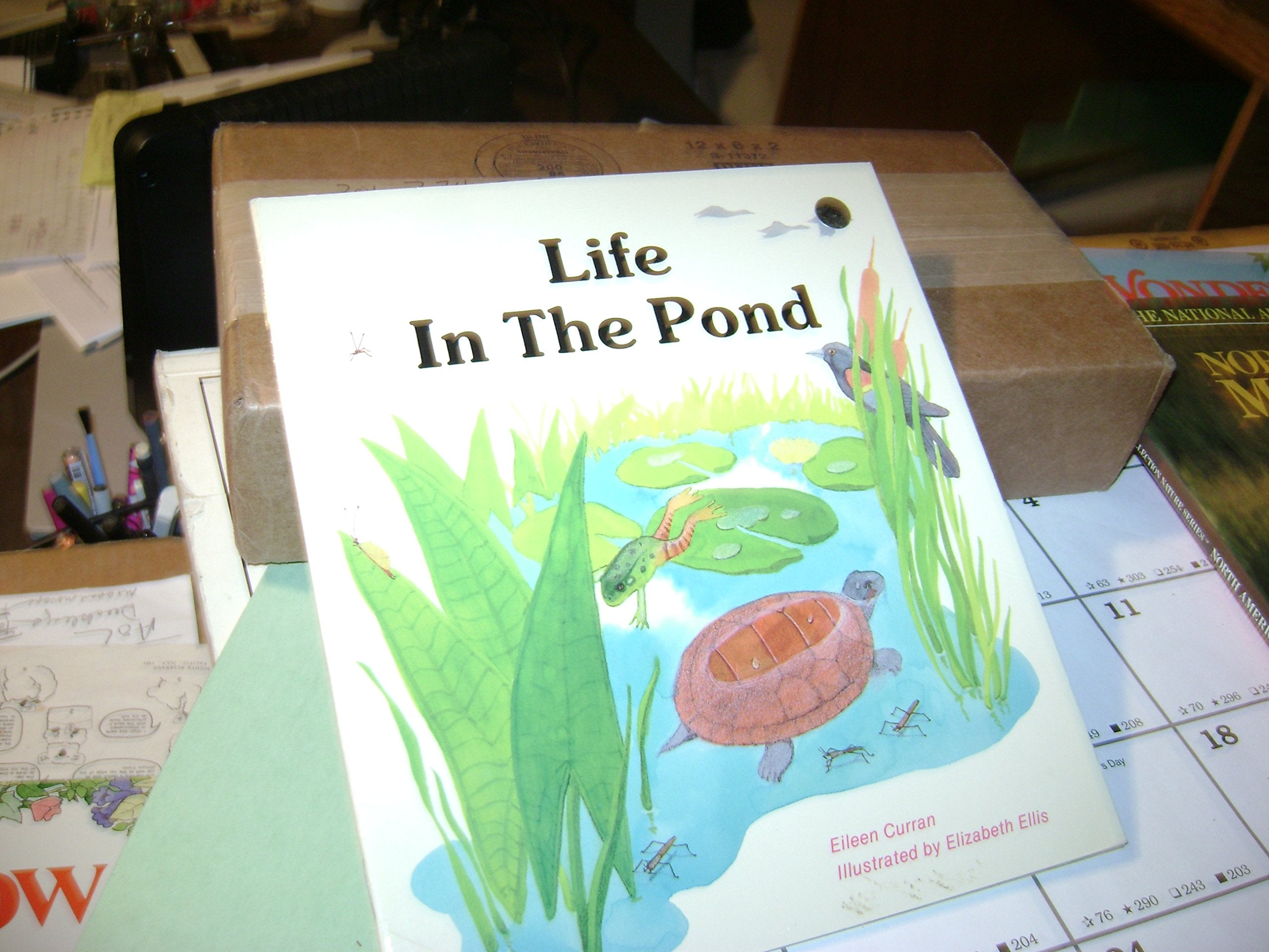 Life in the Pond (Now I Know First Start Reader),Used