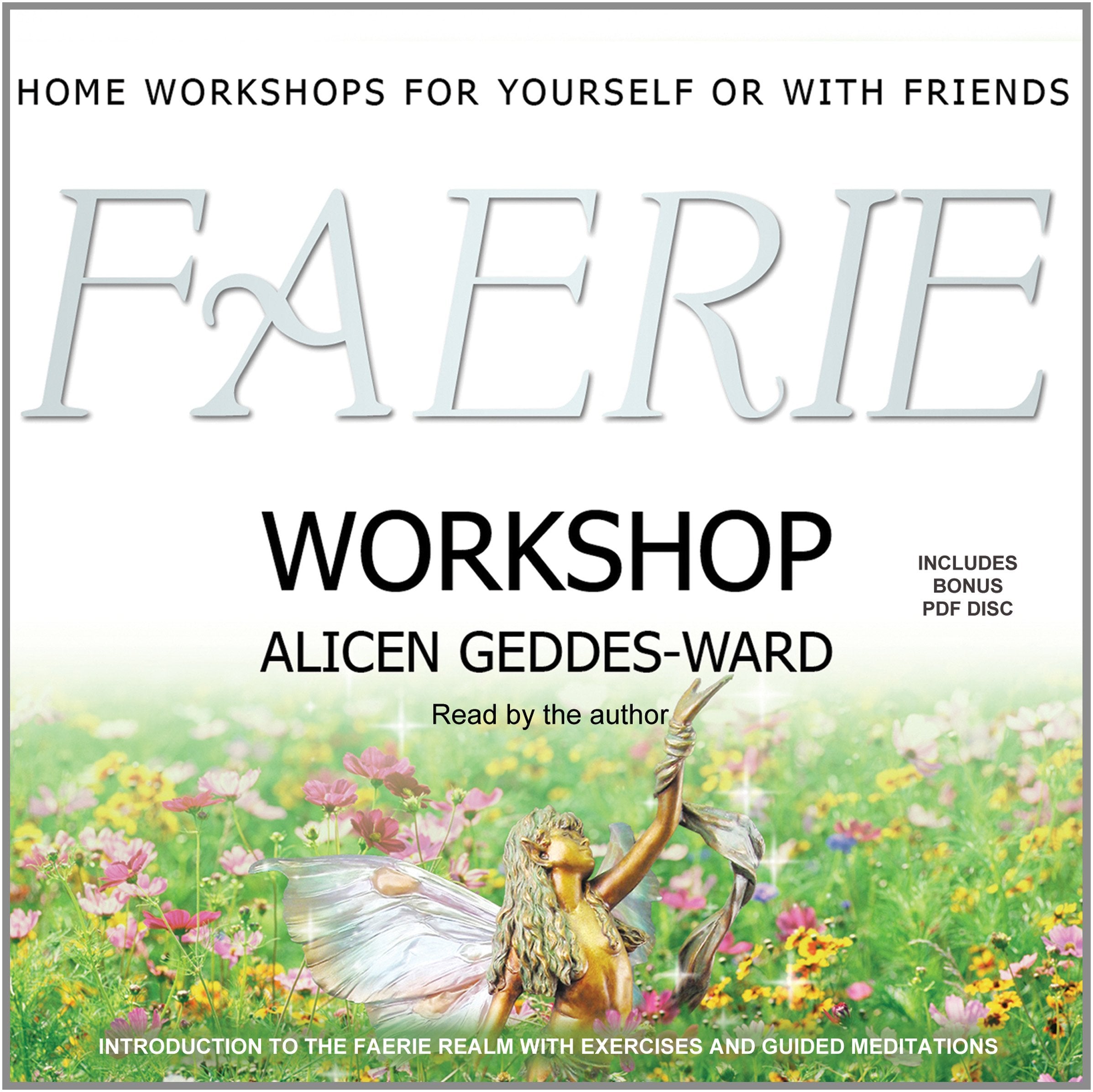 Faerie Workshop: Home Workshops For Yourself Or With Friends,Used